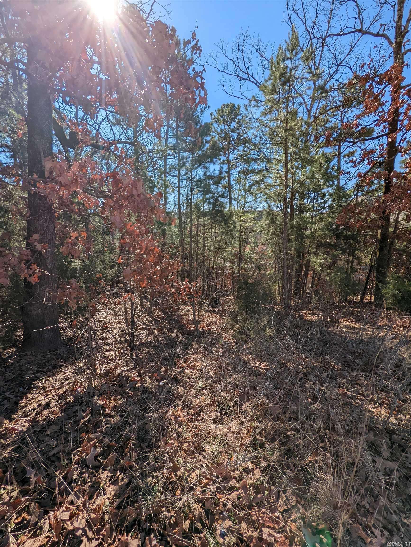 Maumelle, AR 72113,240 Summit Valley Circle