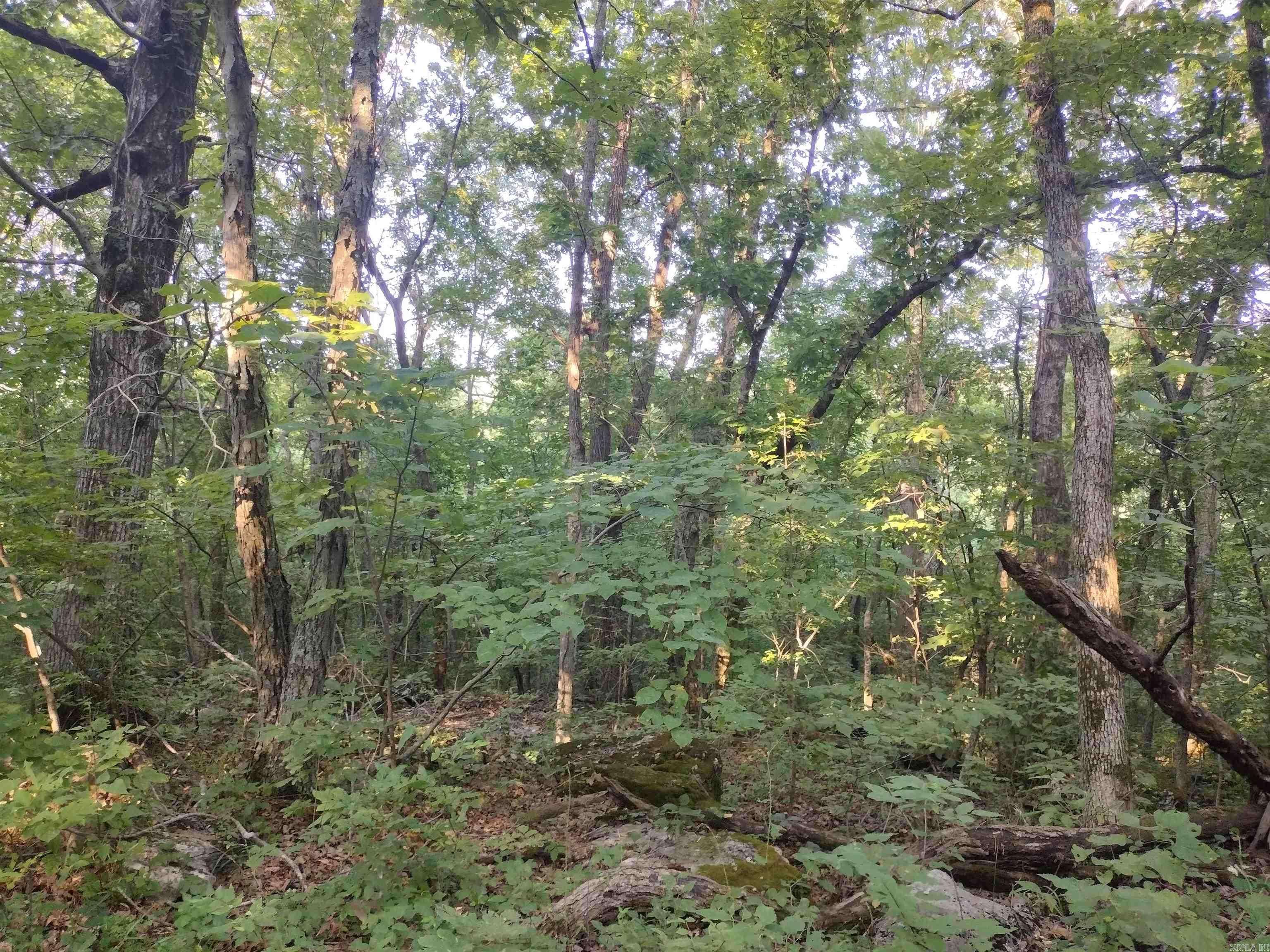 Leslie, AR 72645,0 Liberty RD