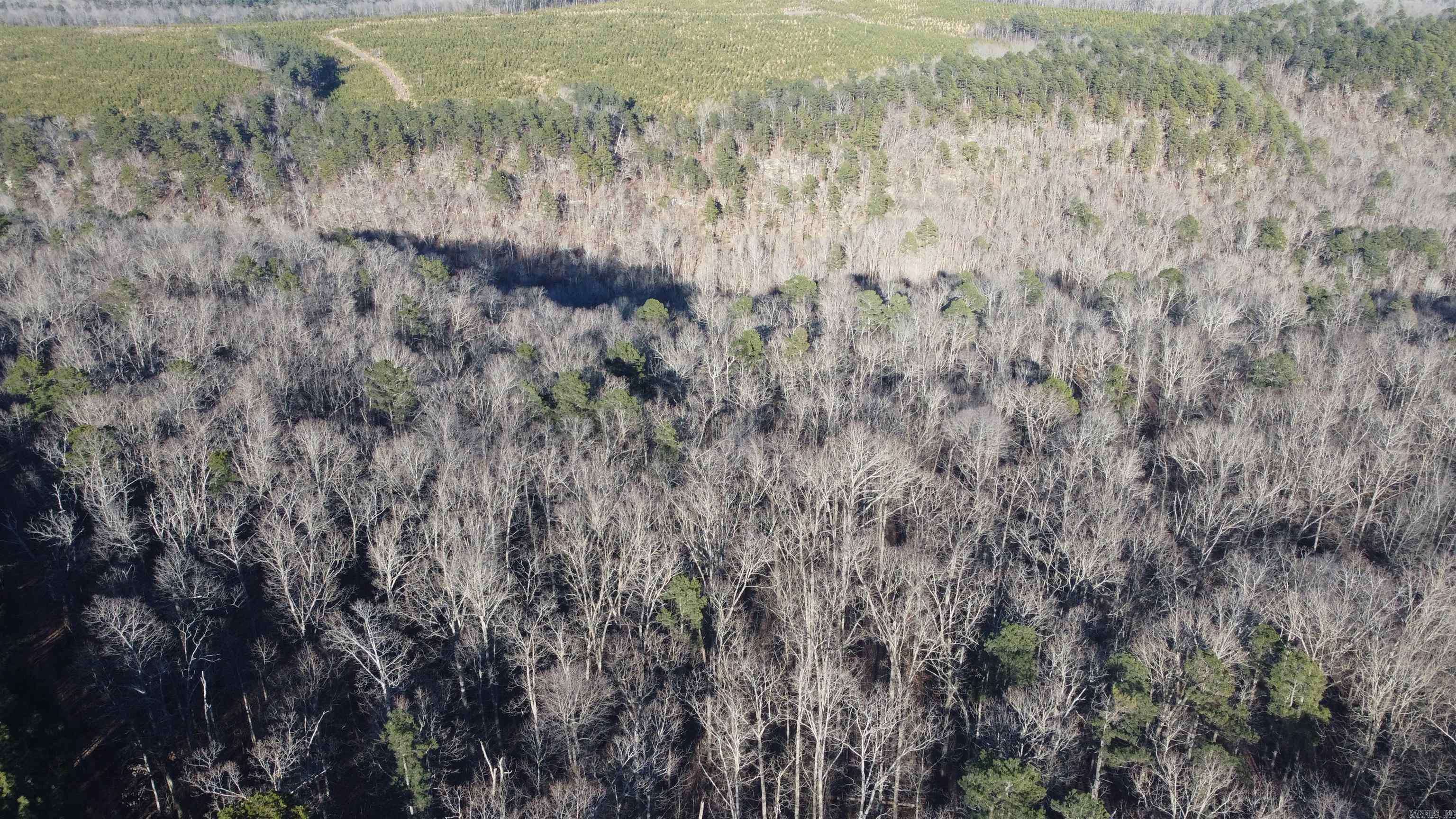 Mountain View, AR 72560,Address not disclosed