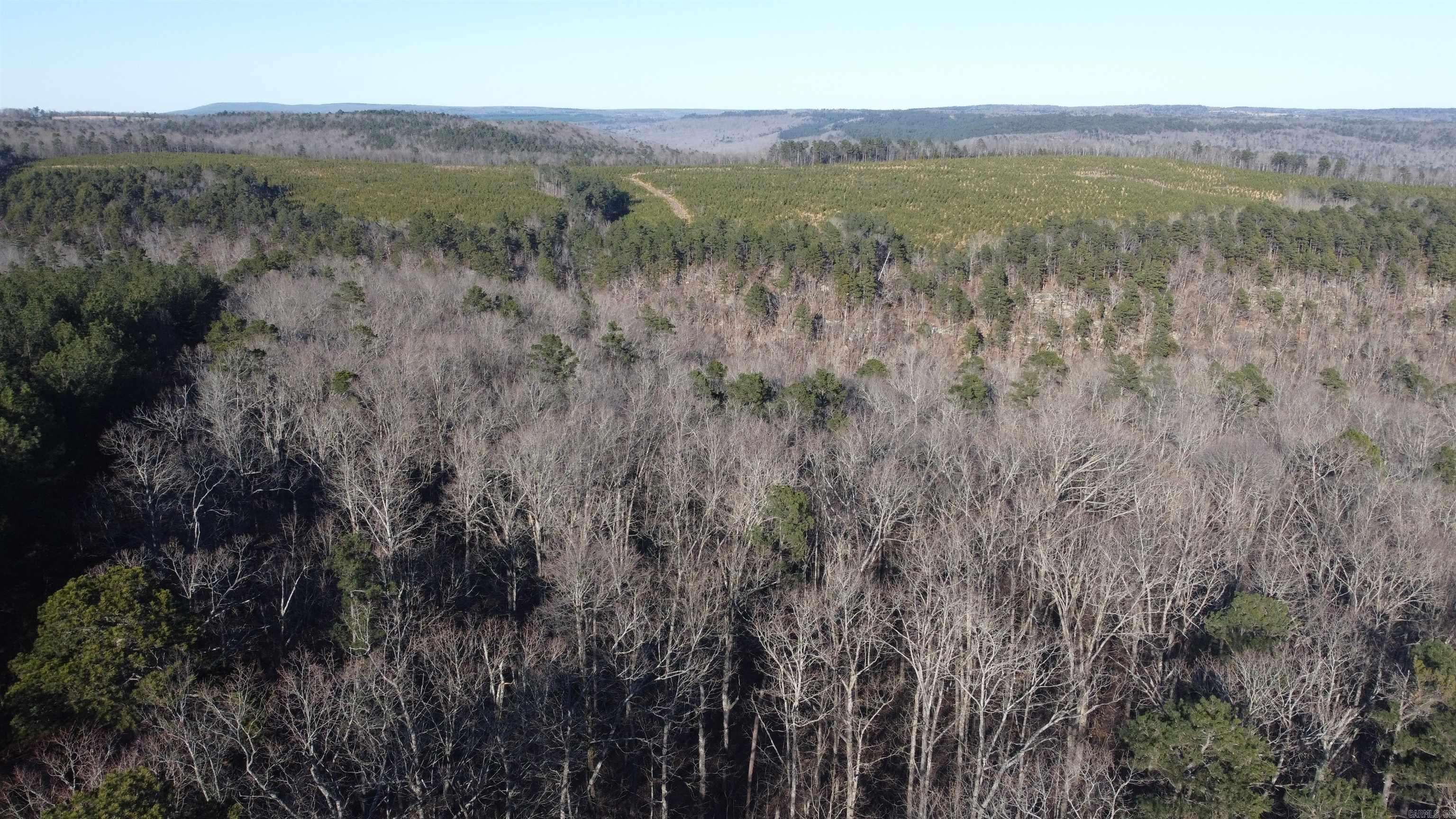 Mountain View, AR 72560,Address not disclosed