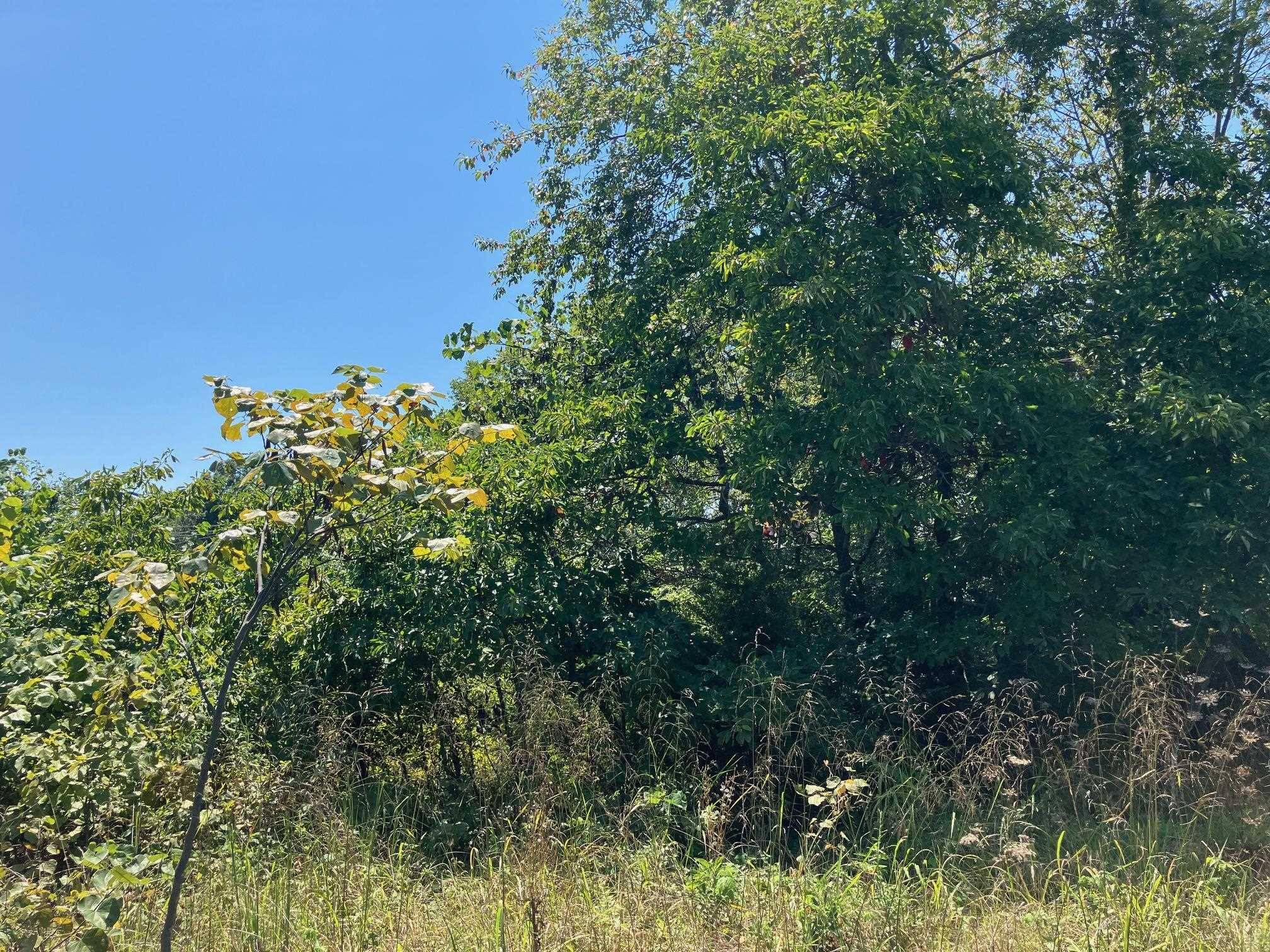 Hardy, AR 72542,1942 Hwy 63 E