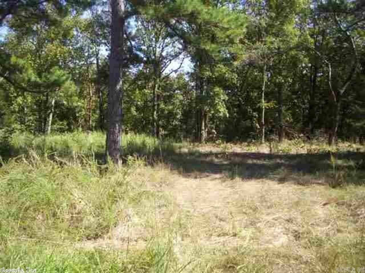 Drasco, AR 72530,Lot 30 East Shore Dr.