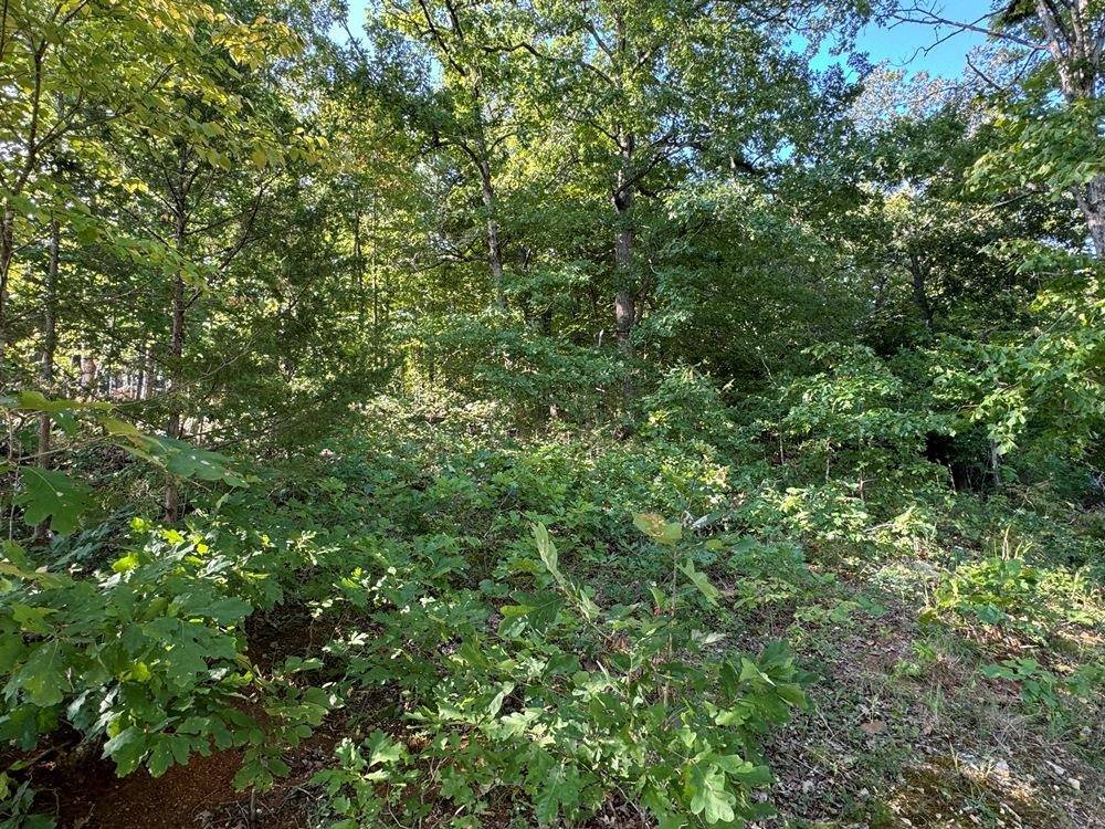Horseshoe Bend, AR 72512,200 Isabella Lane