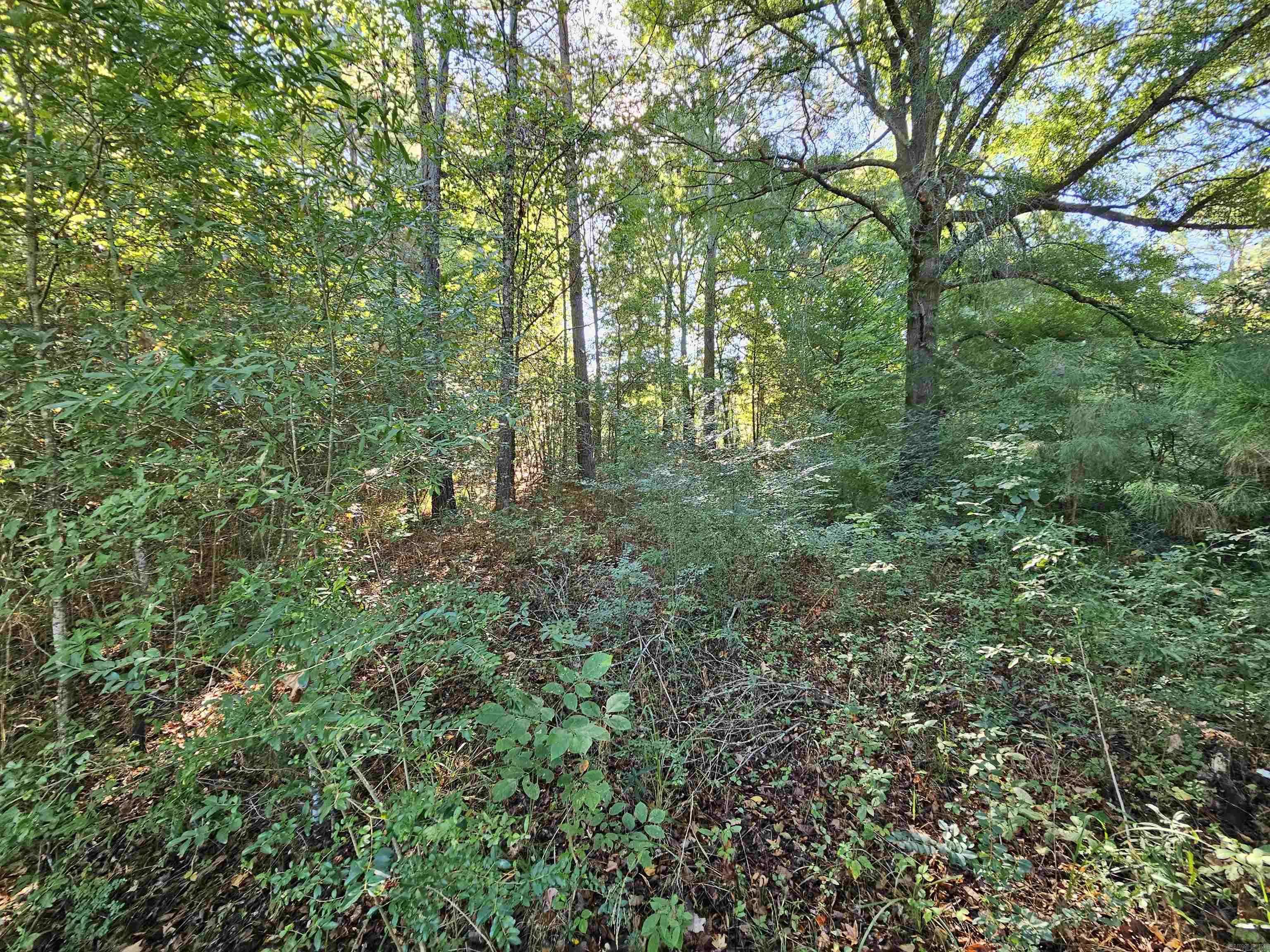 Horatio, AR 71842,TBD Doggett Circle
