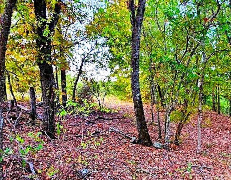 Story, AR 71970,74 Lawdy Lane