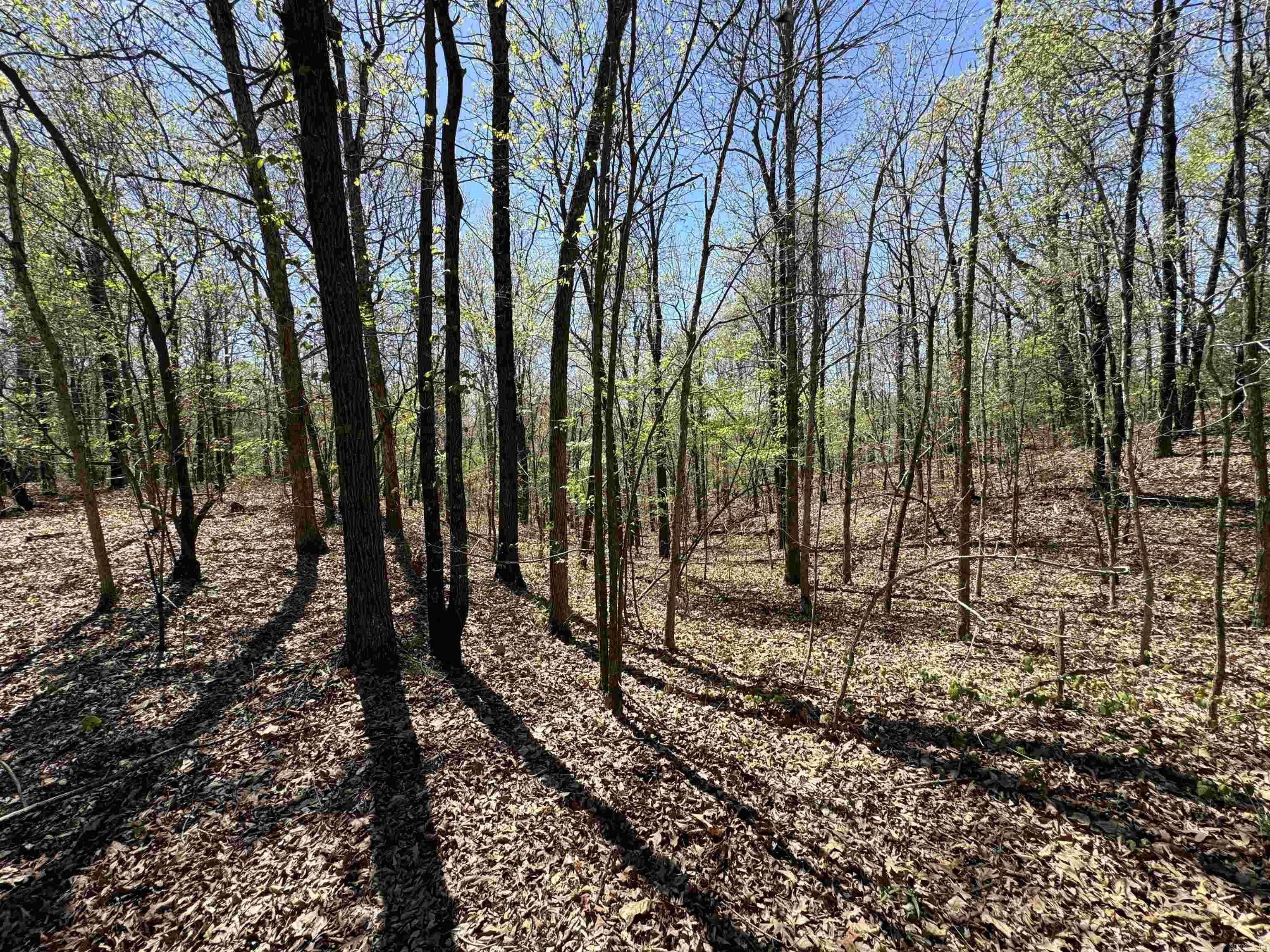 Pollard, AR 72456,0 County Road 431