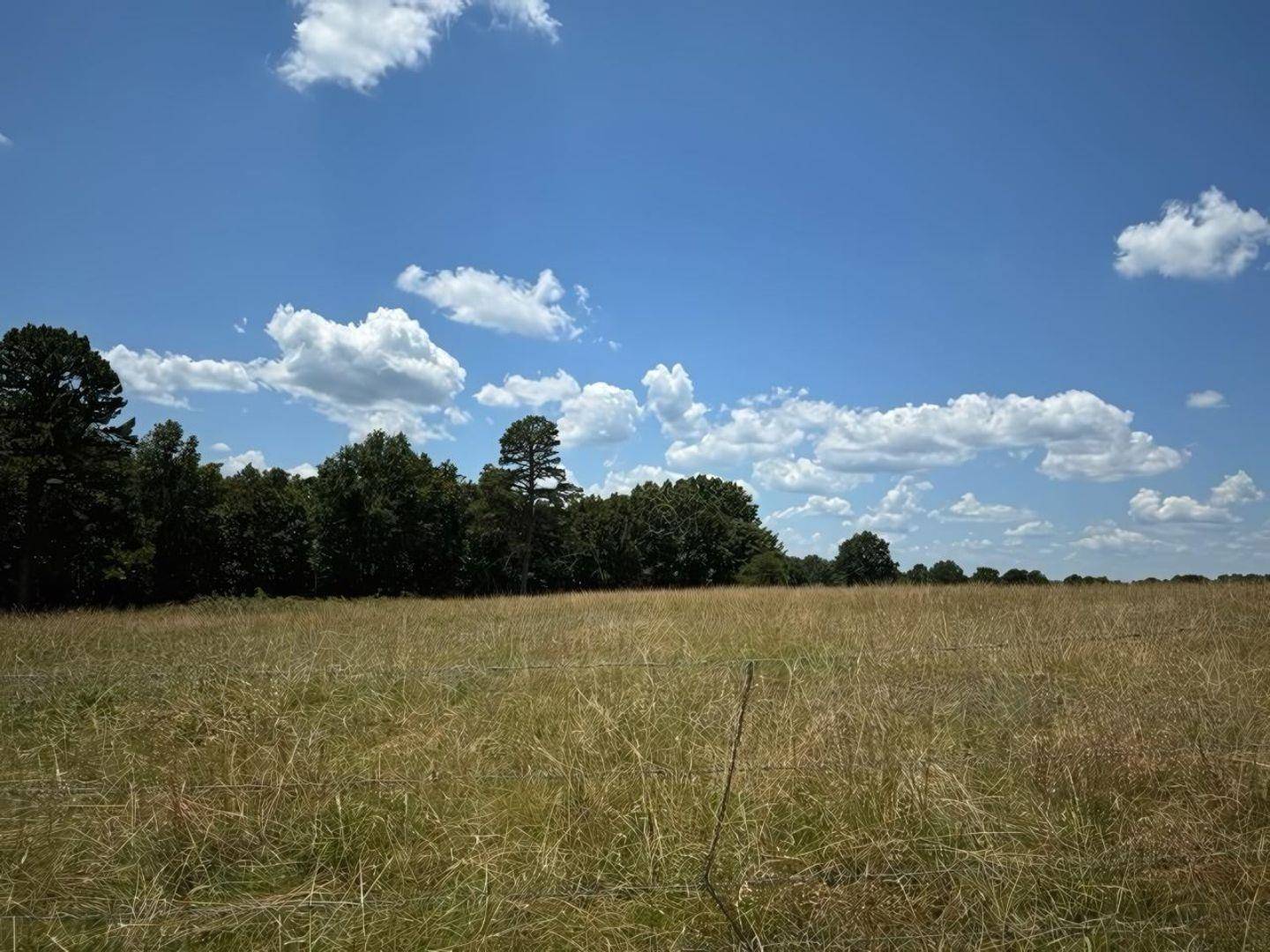 Norfork, AR 72658,00 CR 215