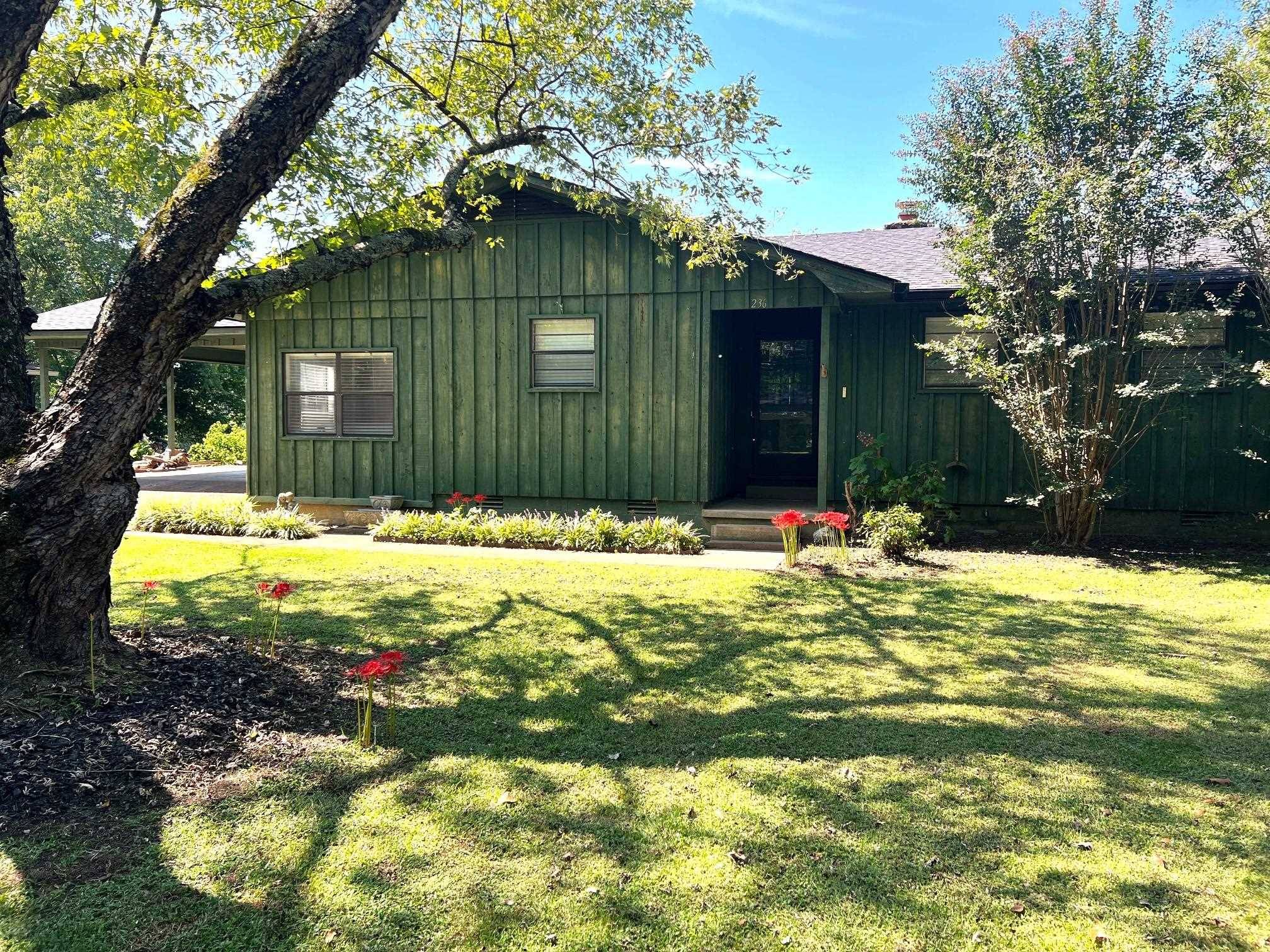 Mountain View, AR 72560,236 N Riverview Lane