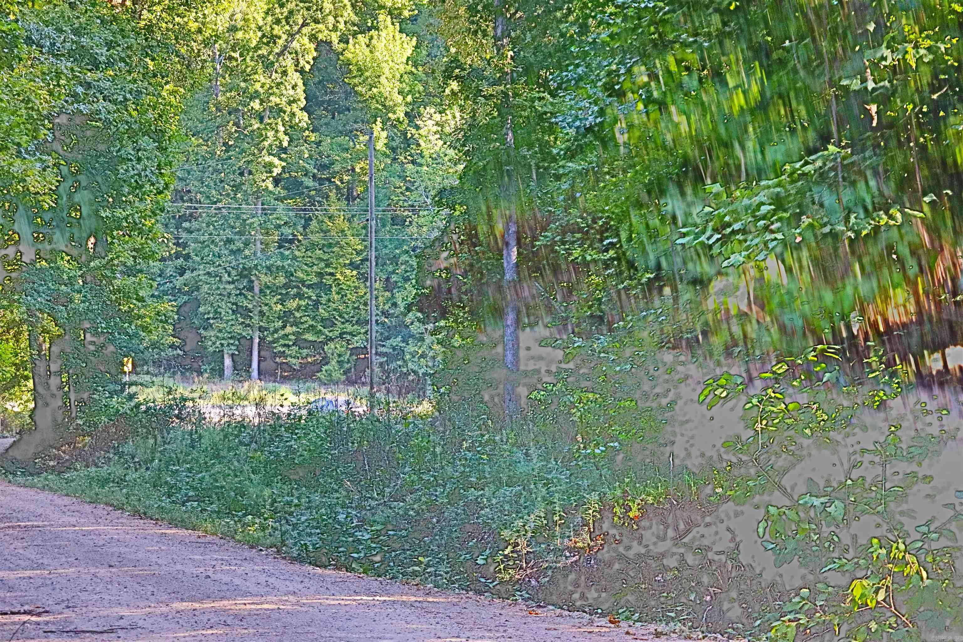 Mount Ida, AR 71957,000 Cross Creek Road