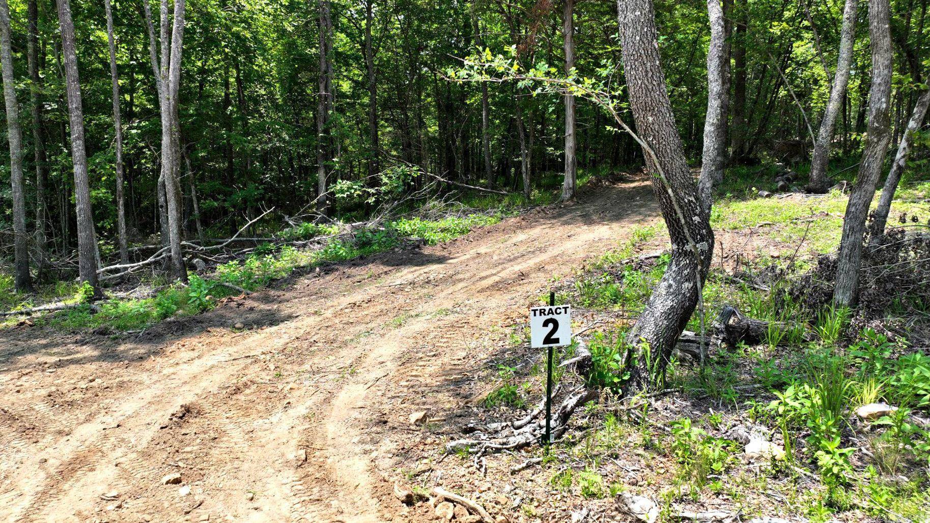 Mena, AR 71953,TBD, Tract 2 Polk Road 158