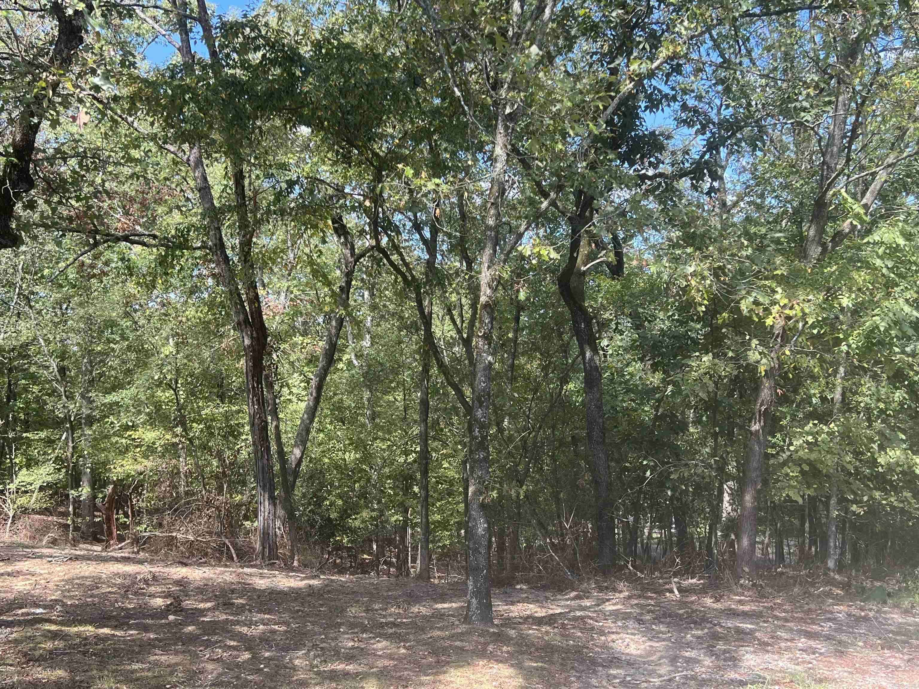 Hot Springs, AR 71913,TBD Curbstone