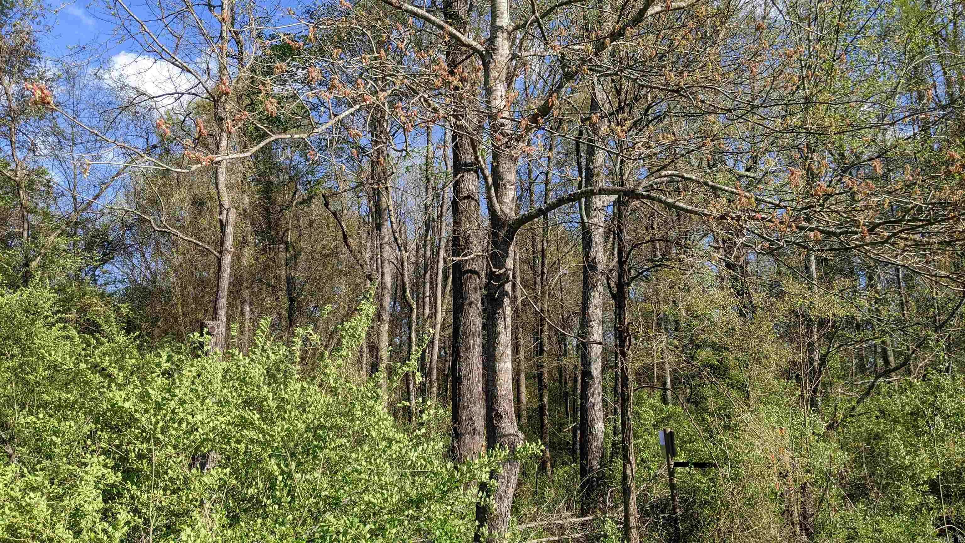Ward, AR 72176,32 Oddie Lane