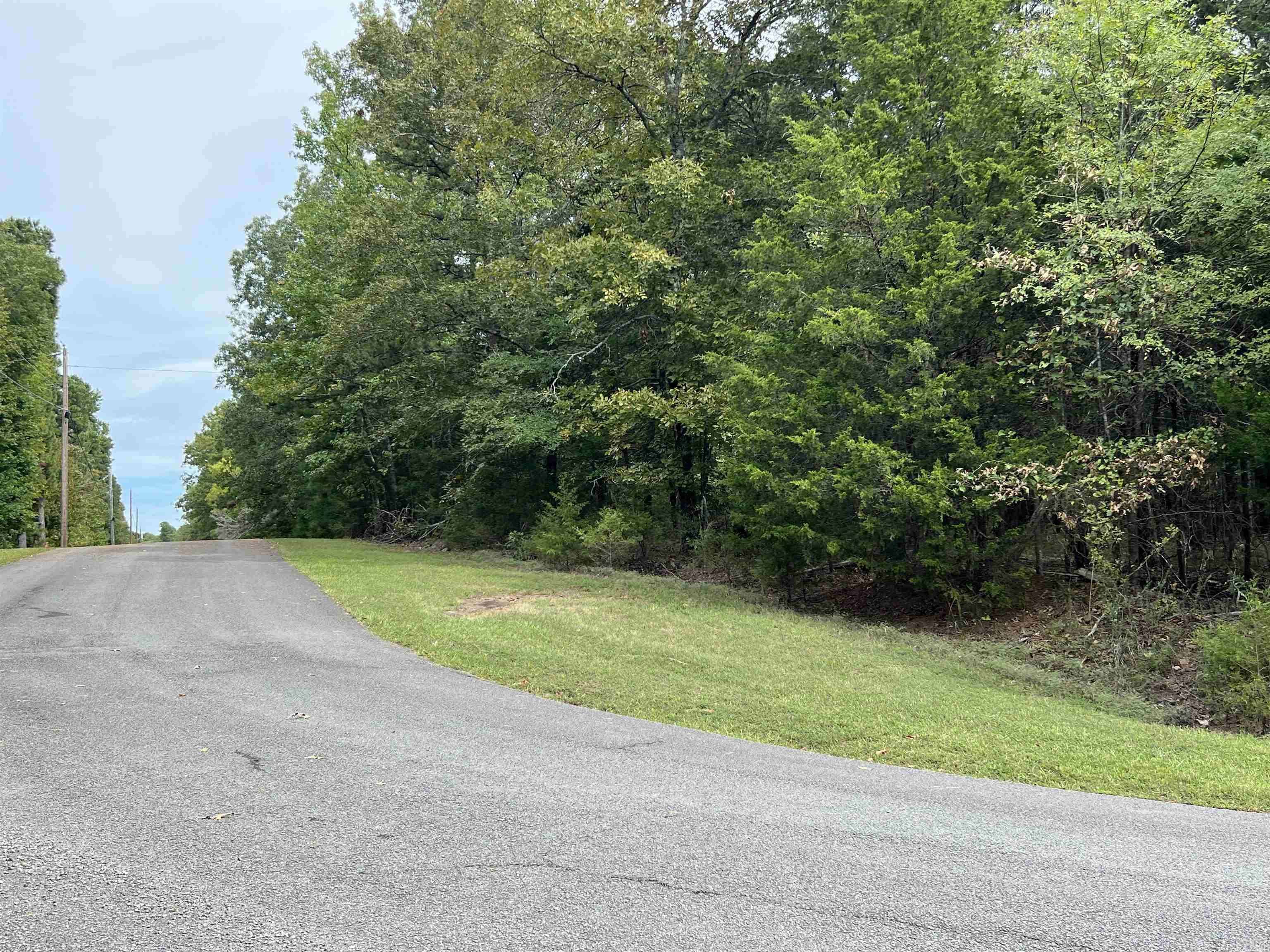 Shirley, AR 72153,137 Shore Drive