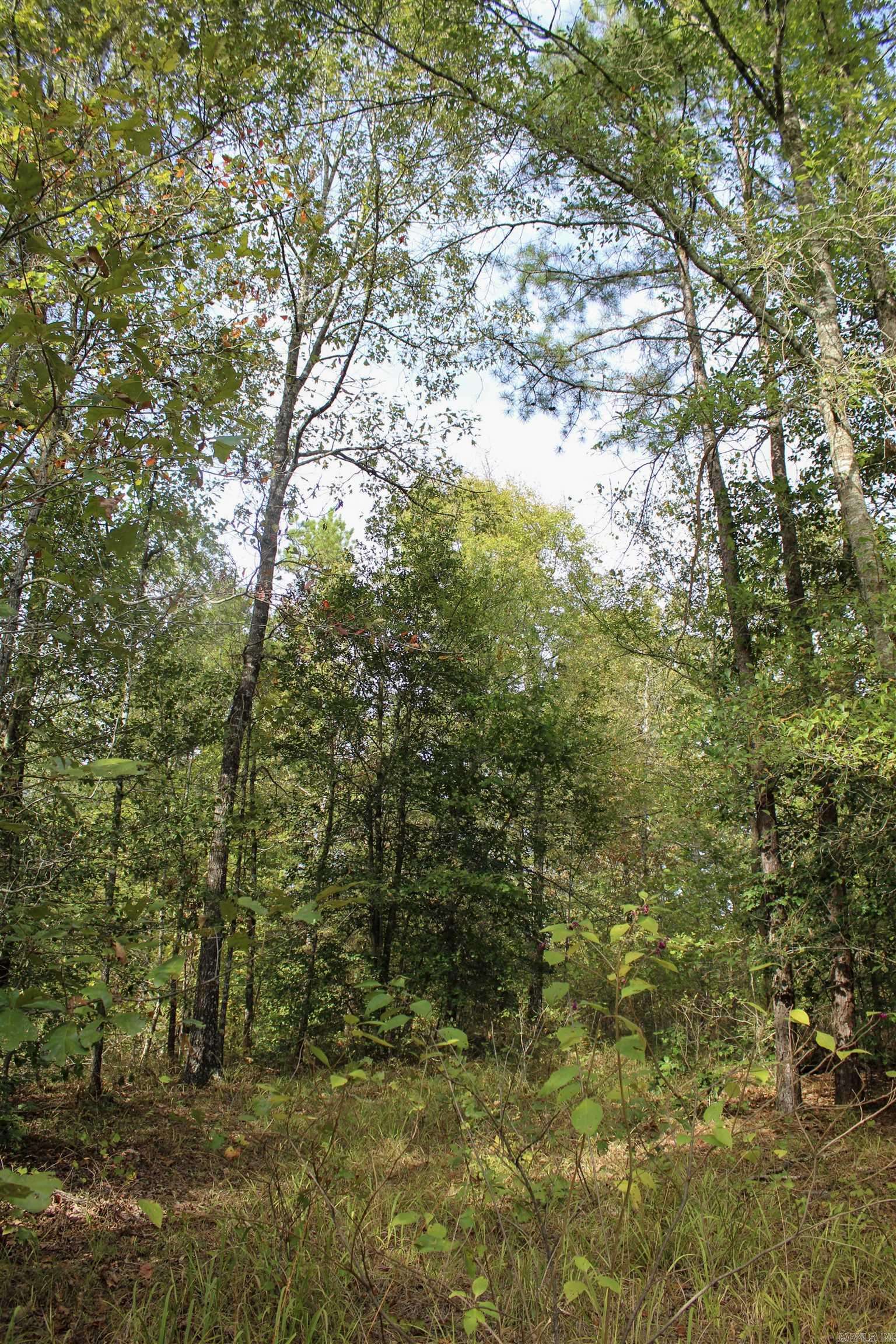 Hatfield, AR 71945,TBD Polk 151