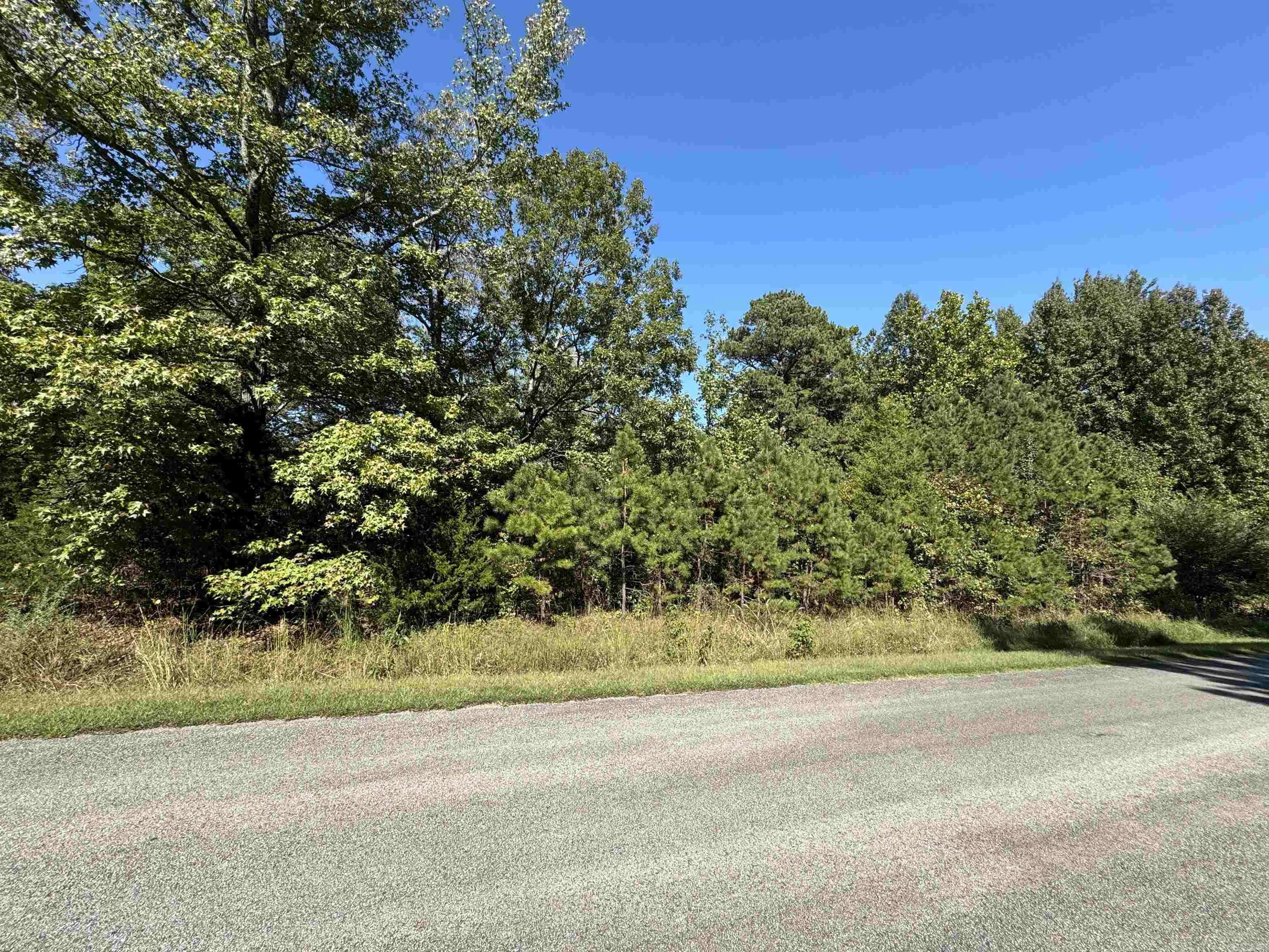 Heber Springs, AR 72543,Lot 46 E Plantation Drive