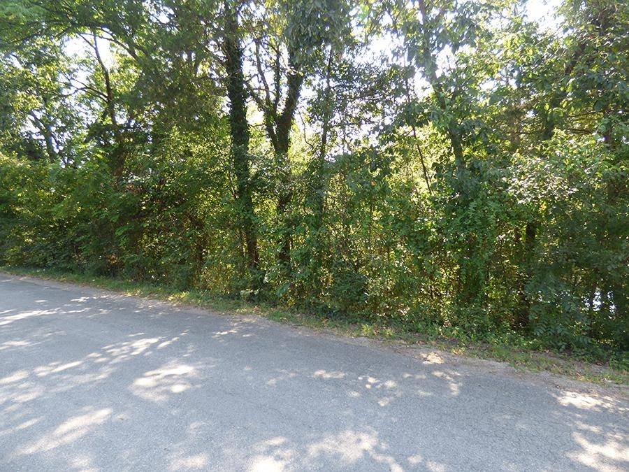 Cherokee Village, AR 72529,E Lakeshore Drive