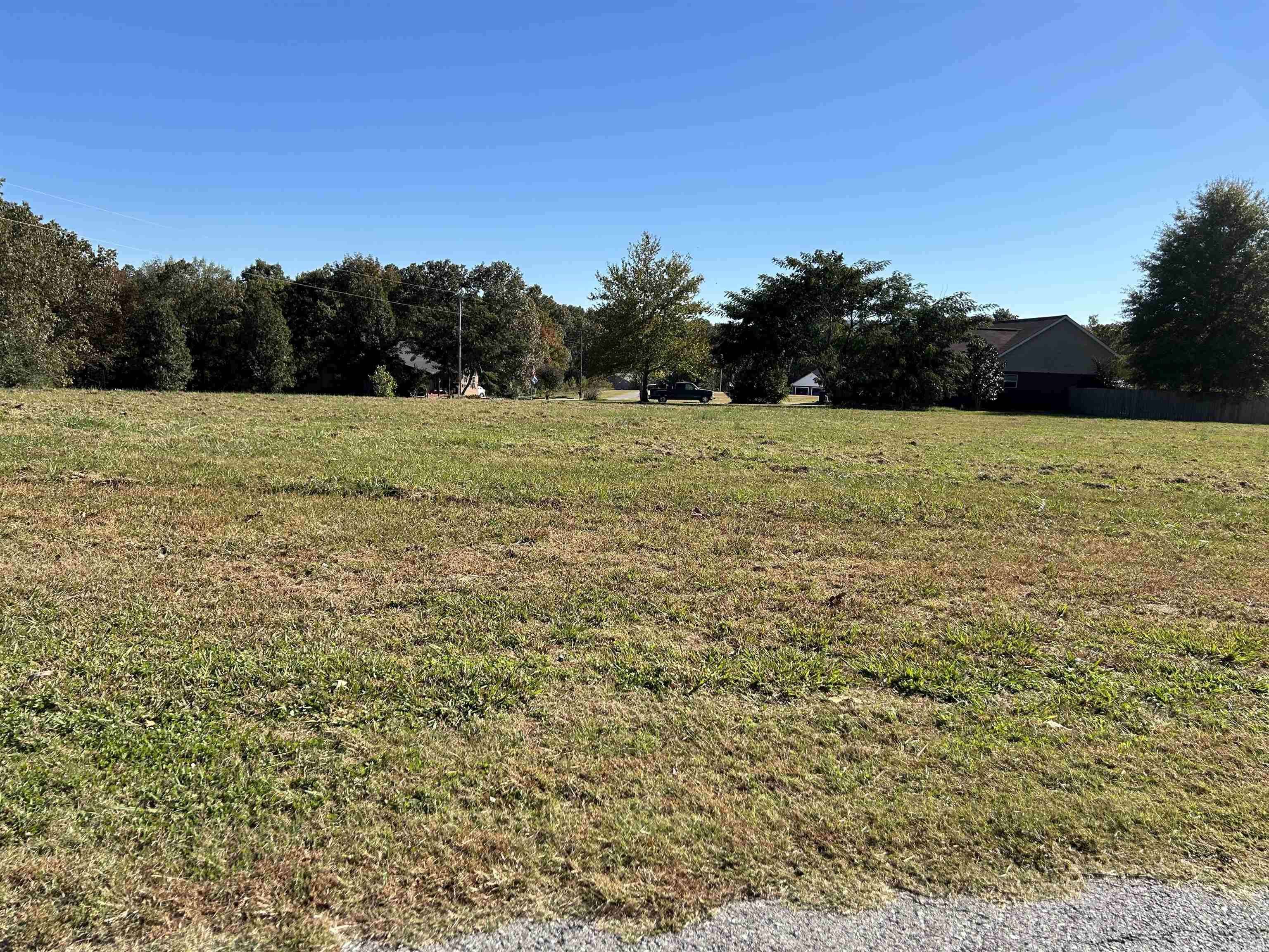 Mountain View, AR 72560,Lot 27 Mitchell Estates