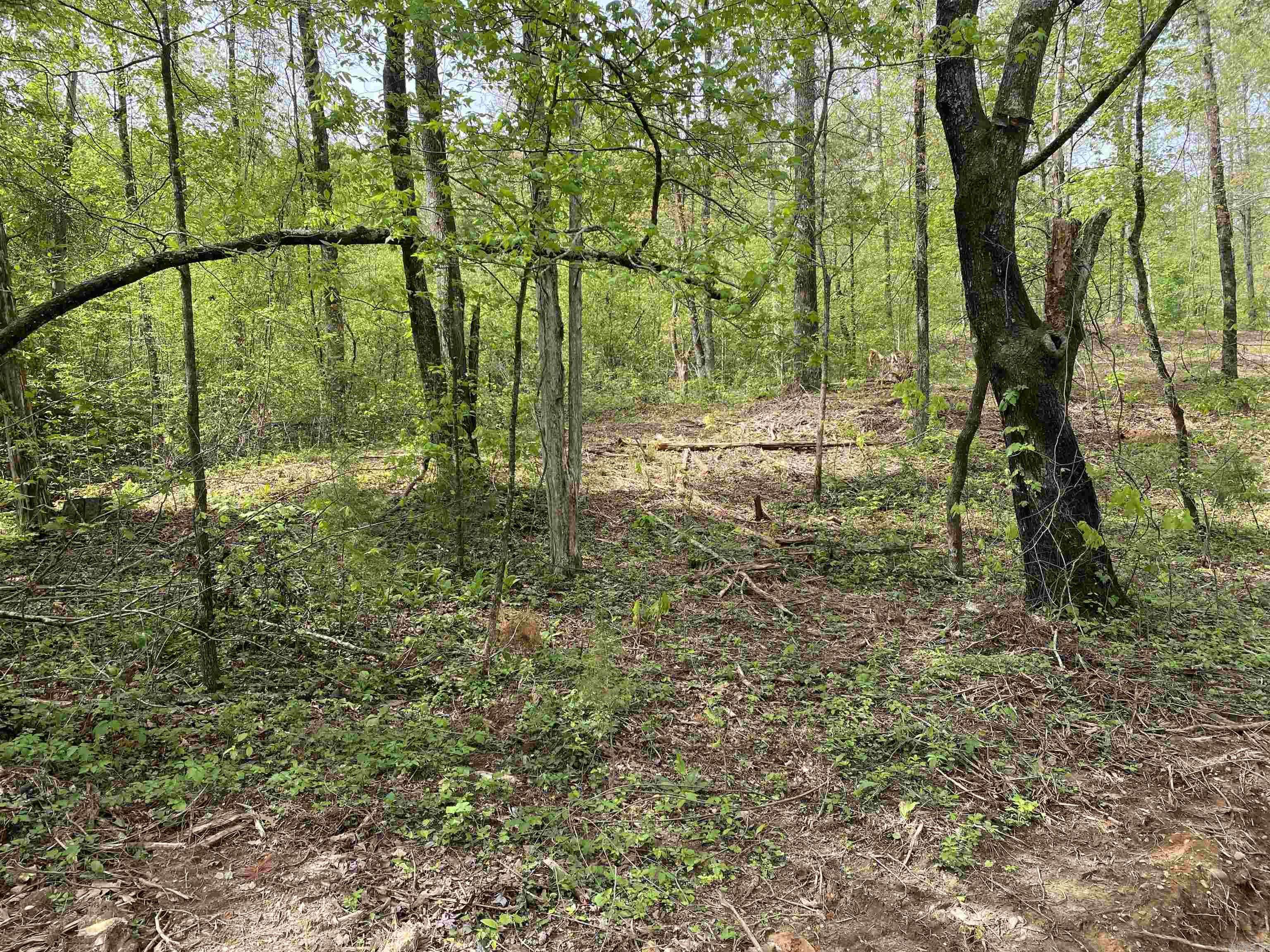 Clinton, AR 72031,707 W. Hwy 95