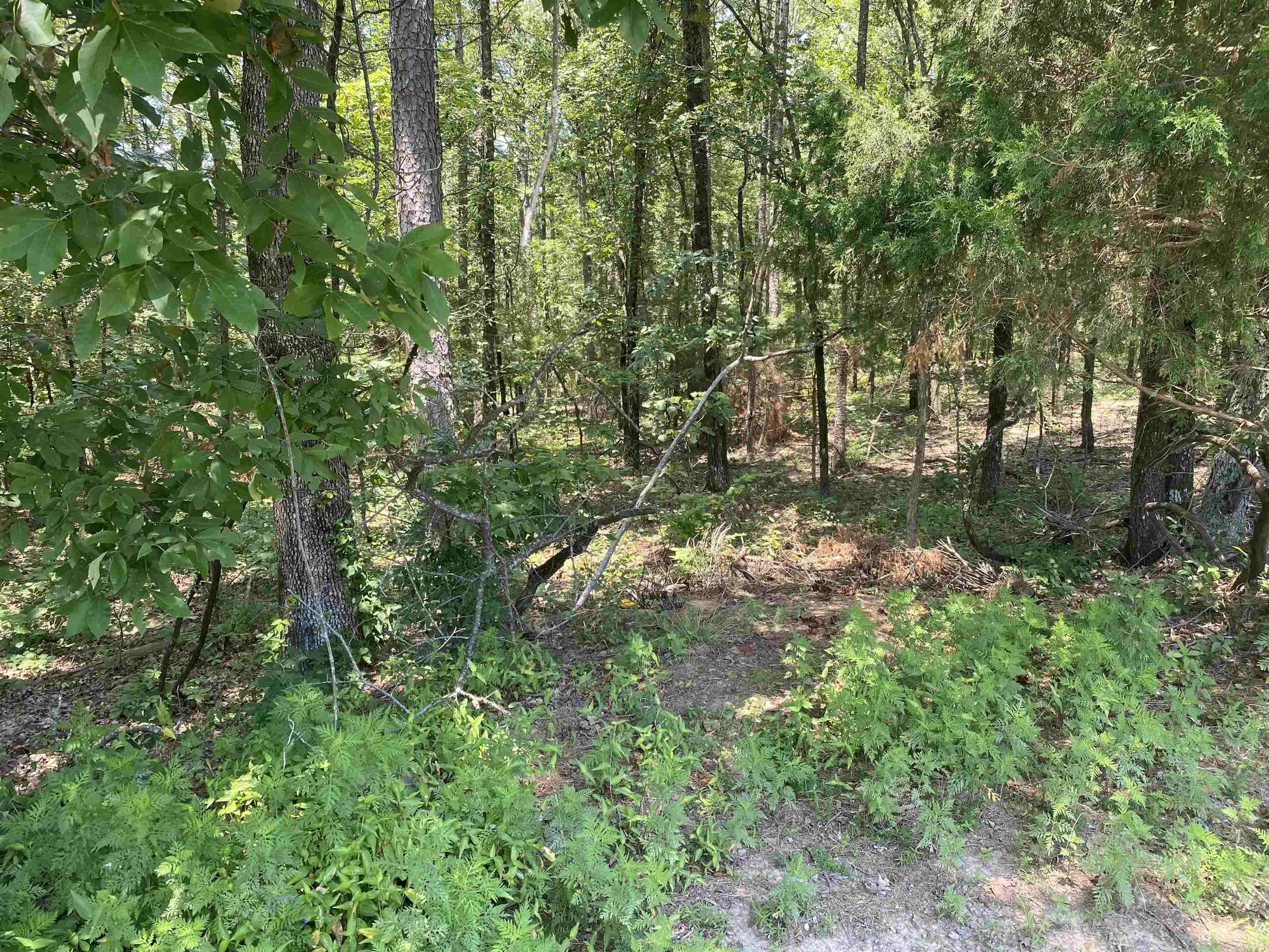 Fairfield Bay, AR 72044,00 Rock Hill Road