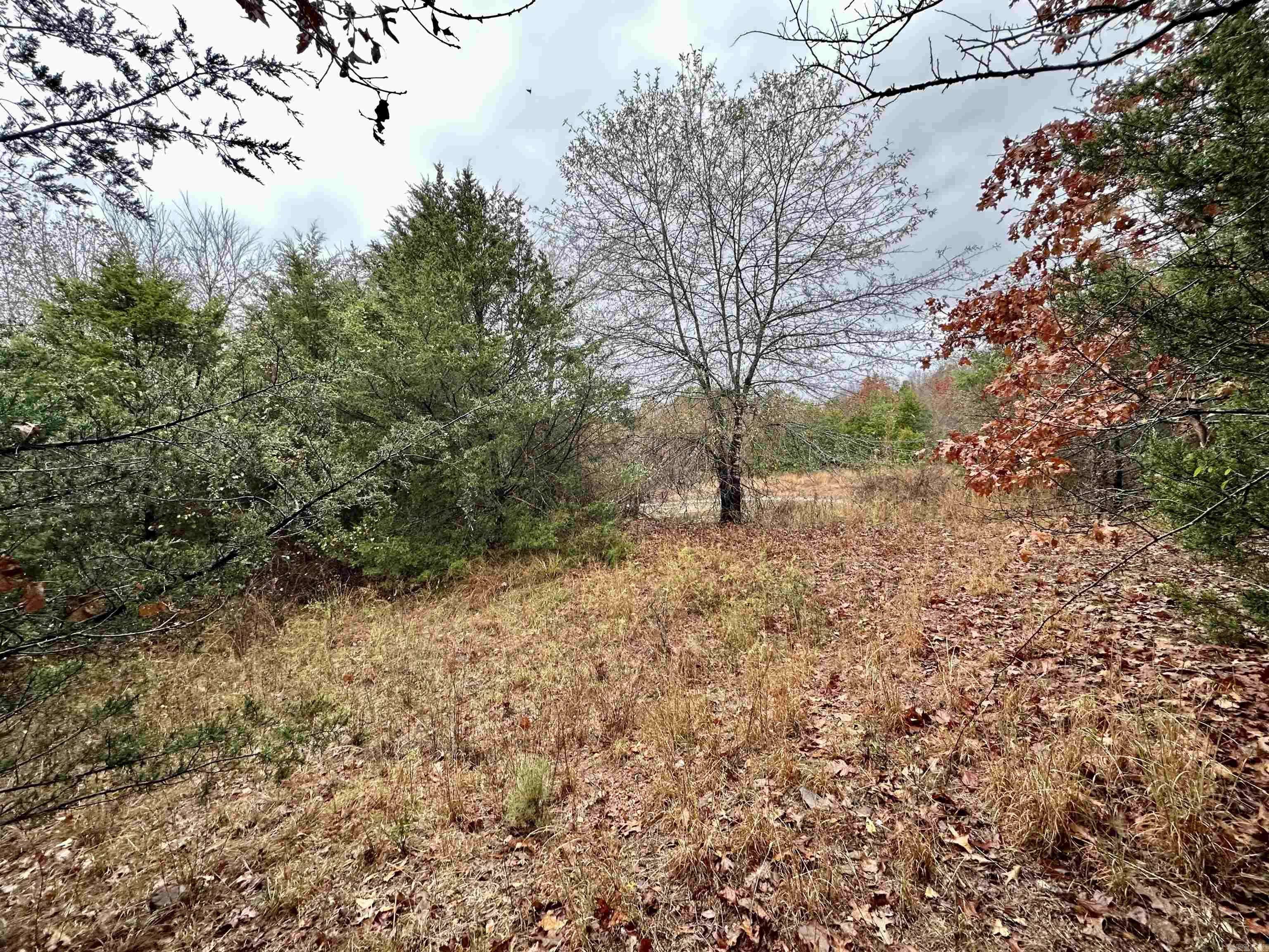 Hatfield, AR 71945,TBD Polk Road 28