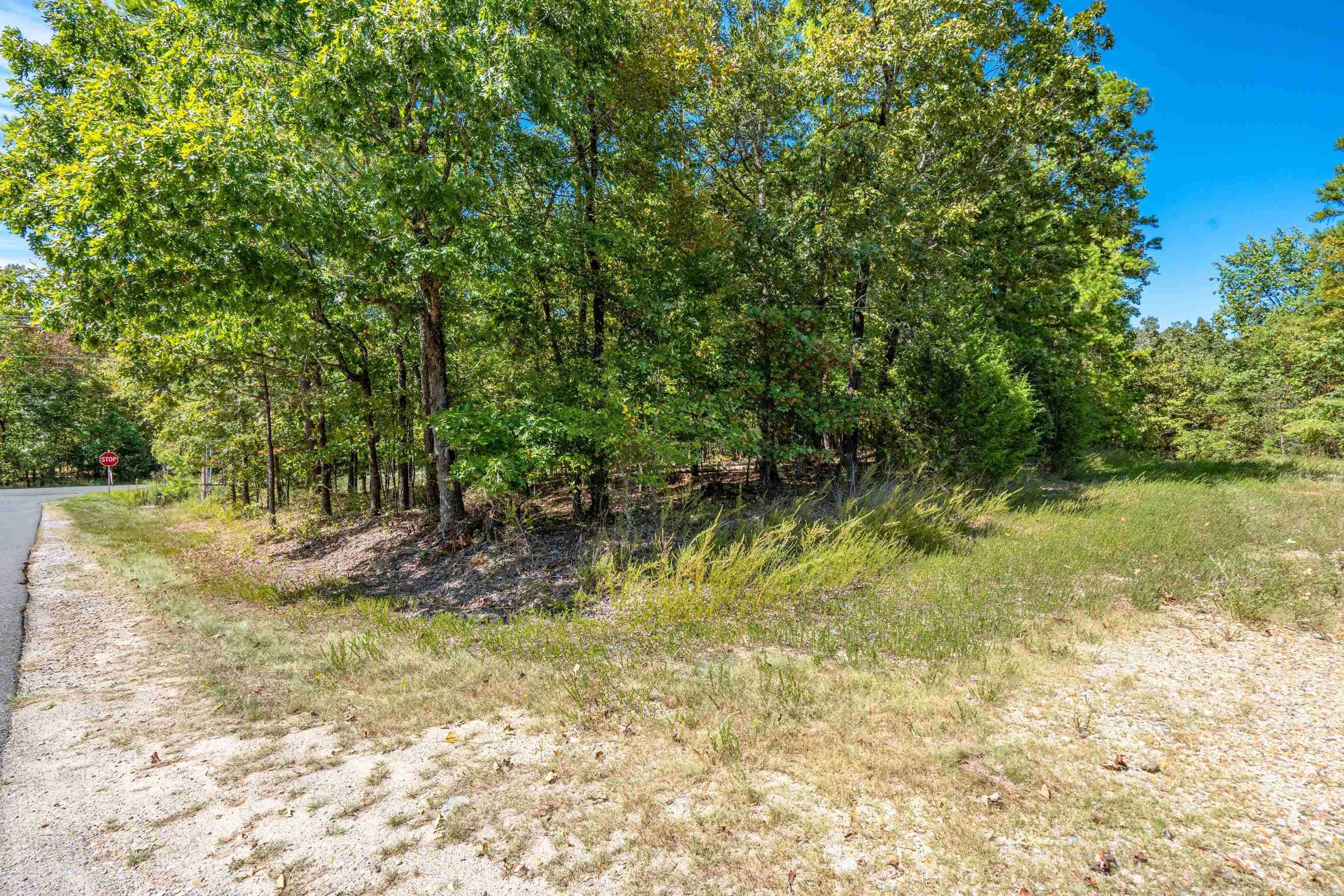 Hot Springs Village, AR 71909,1 Campeon Place
