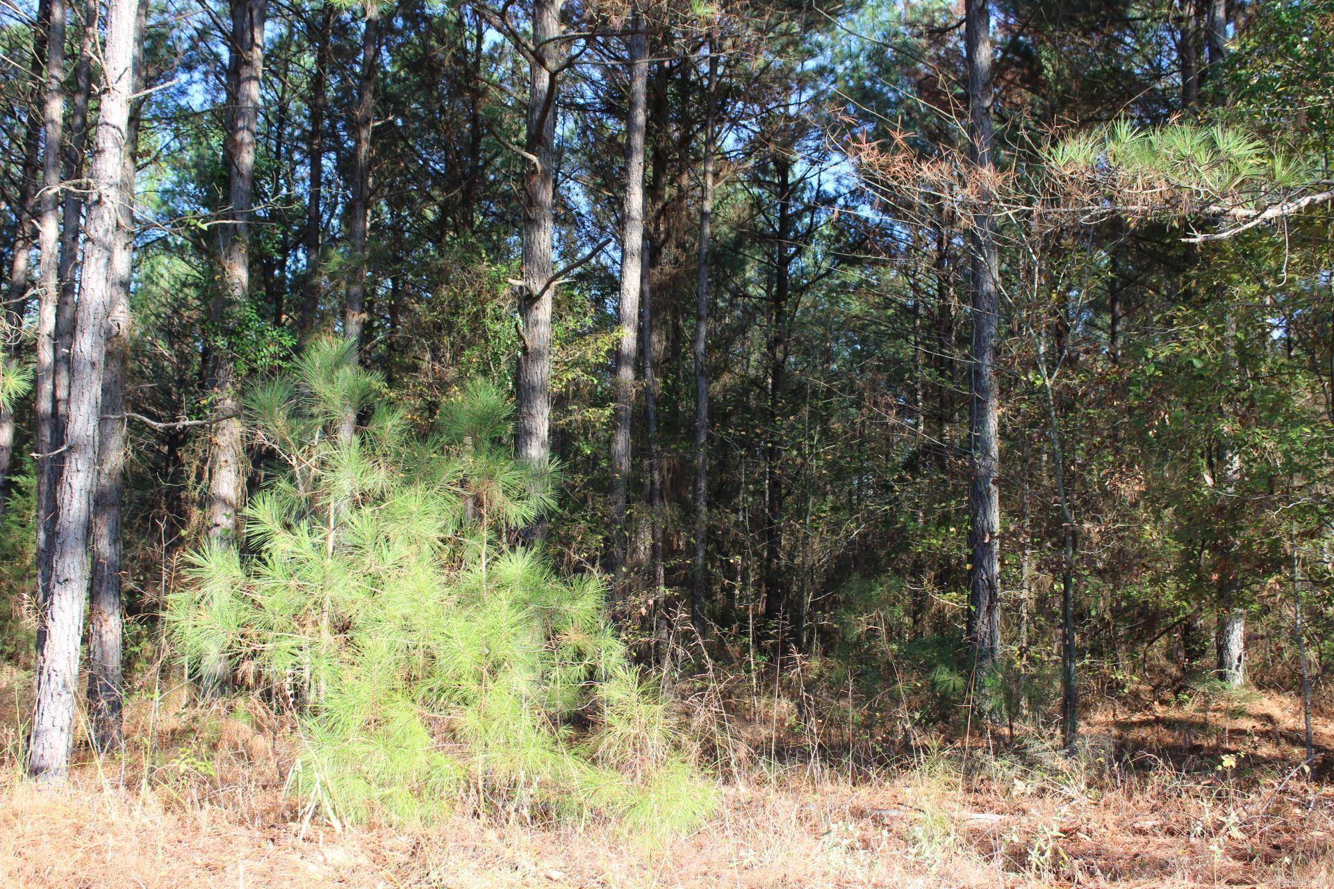 Nashville, AR 71852,Hempstead 347