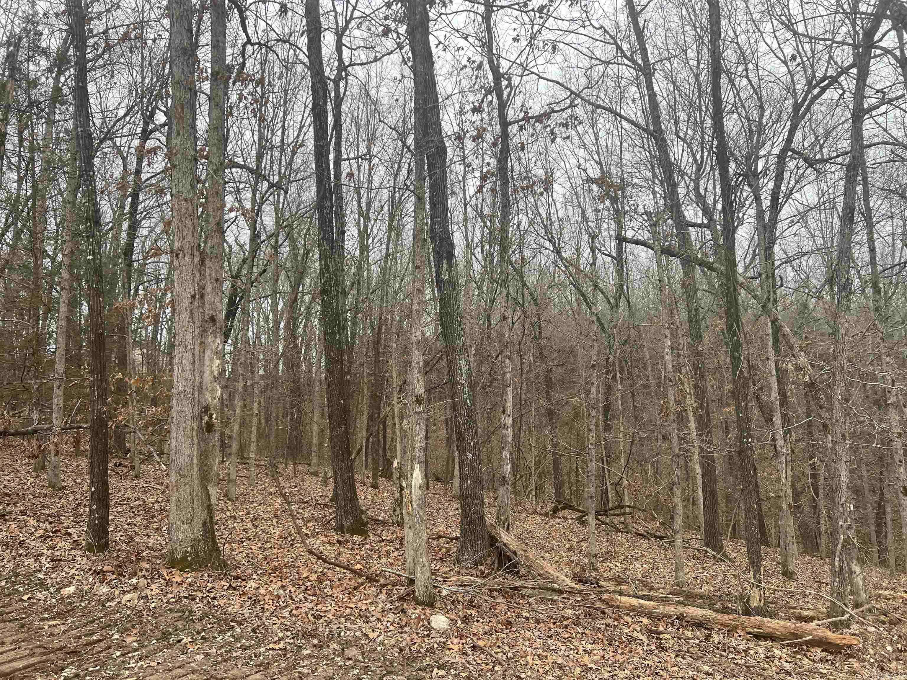 Omaha, AR 72662,1.87 AC Dubuque Road