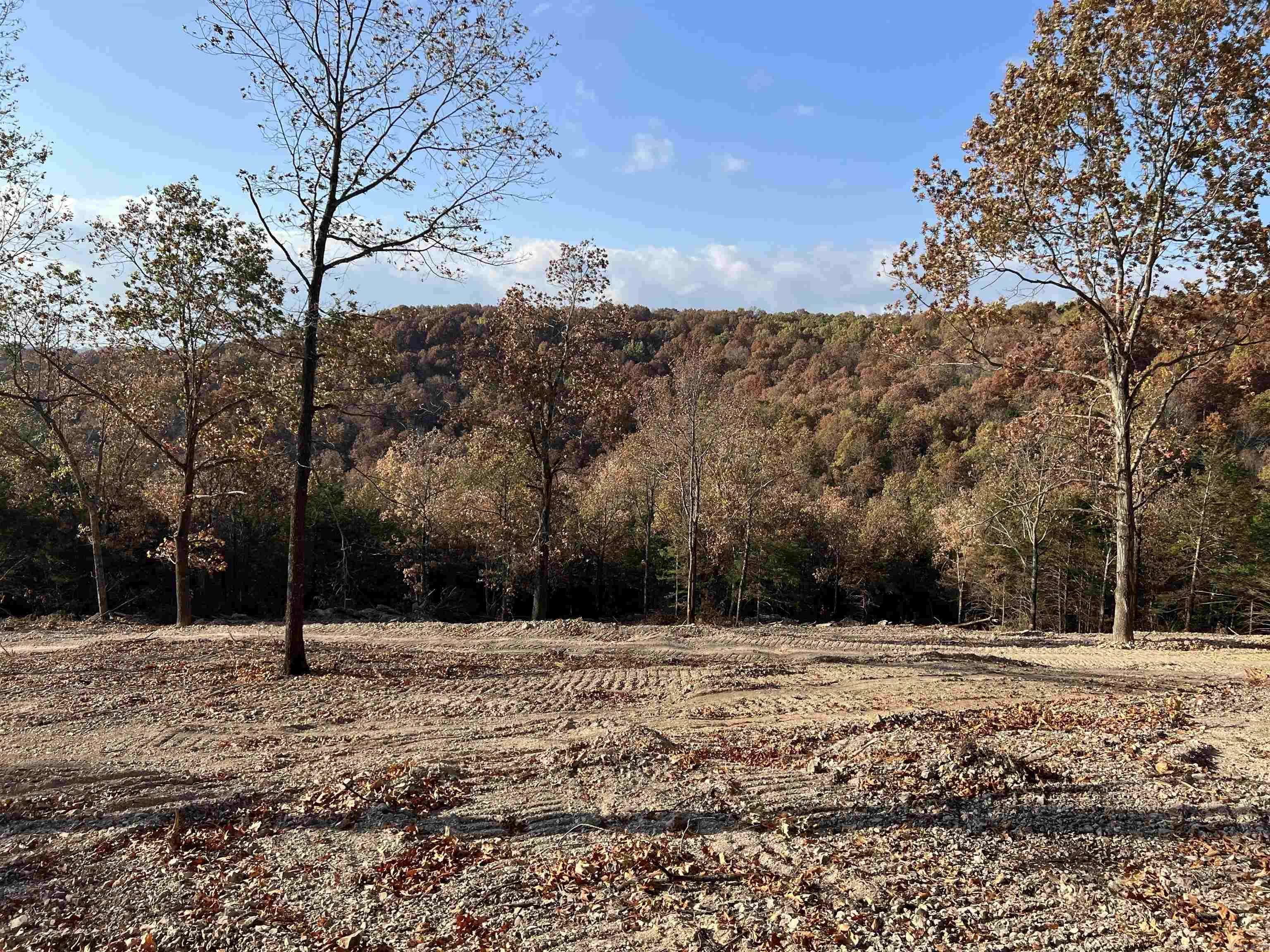 Omaha, AR 72662,21.73 AC Jackson Ridge