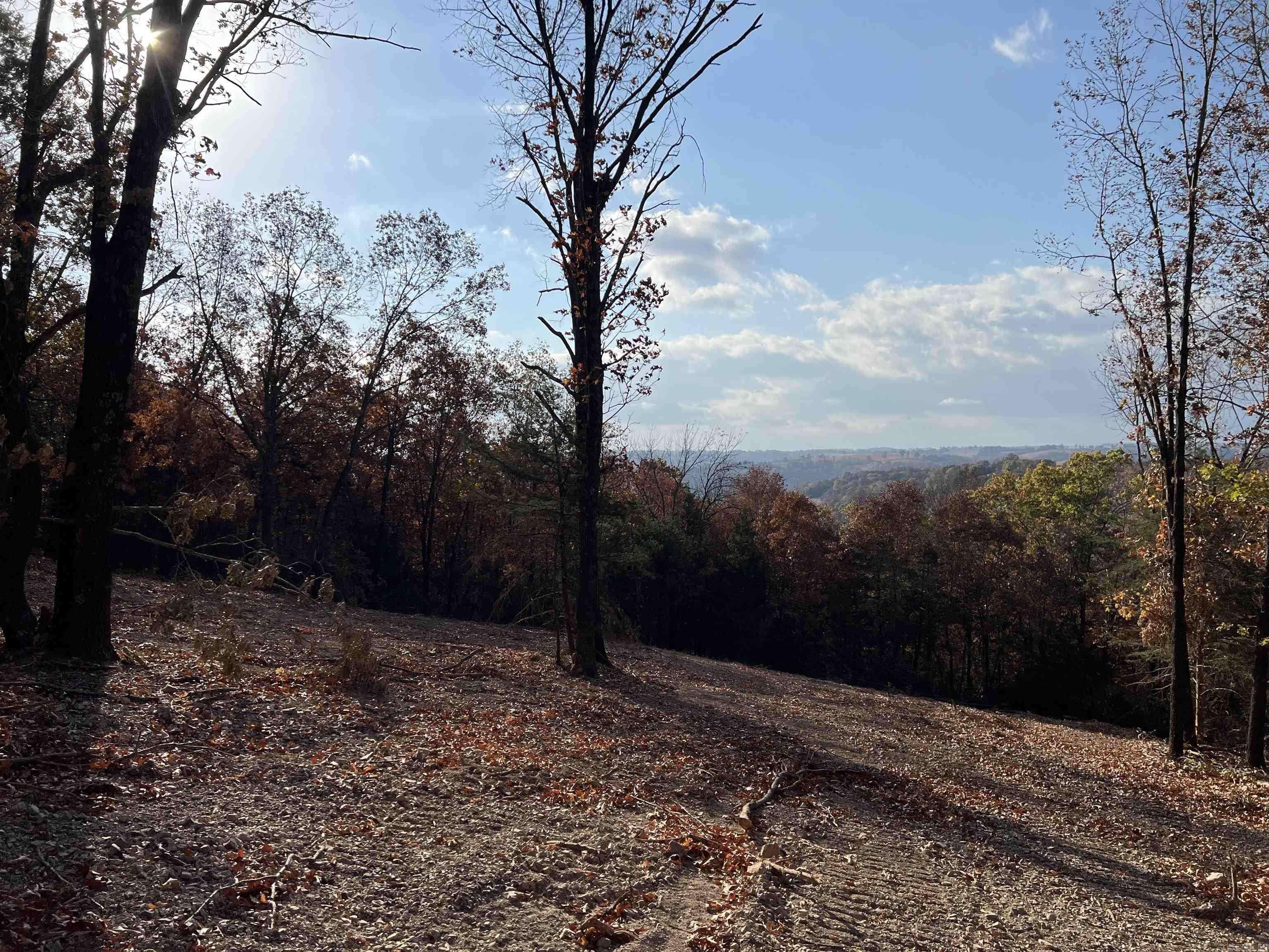Omaha, AR 72662,11.00 AC Jackson Ridge