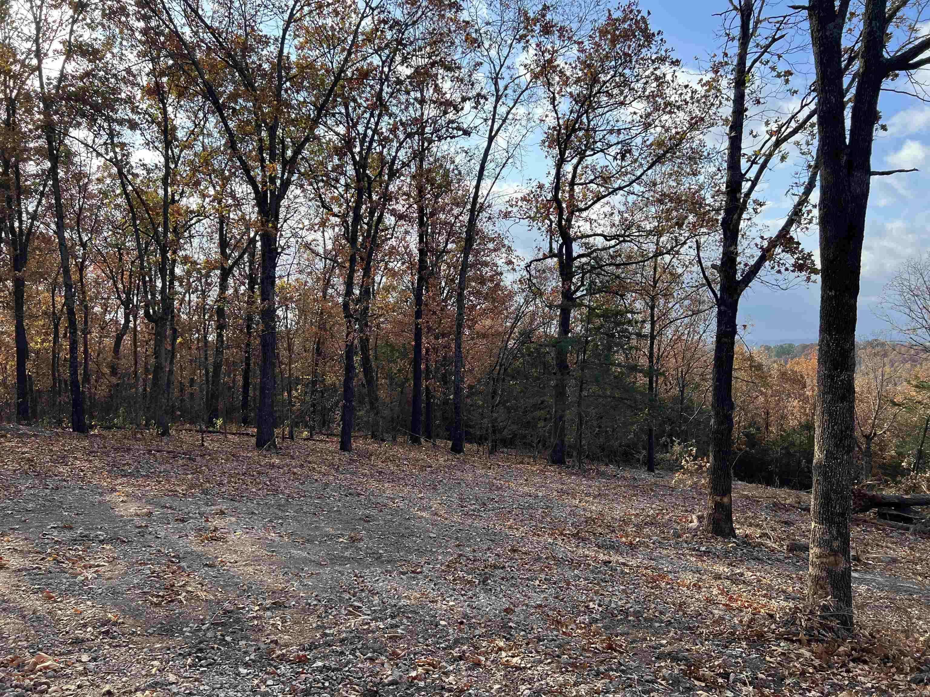 Omaha, AR 72662,10.14 AC Jackson Ridge