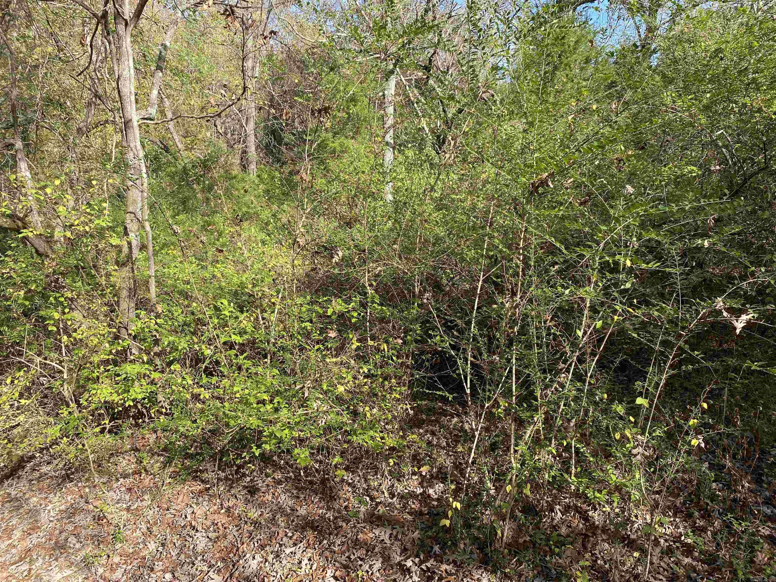 Bull Shoals, AR 72619,760-19585-000 Sandot Drive