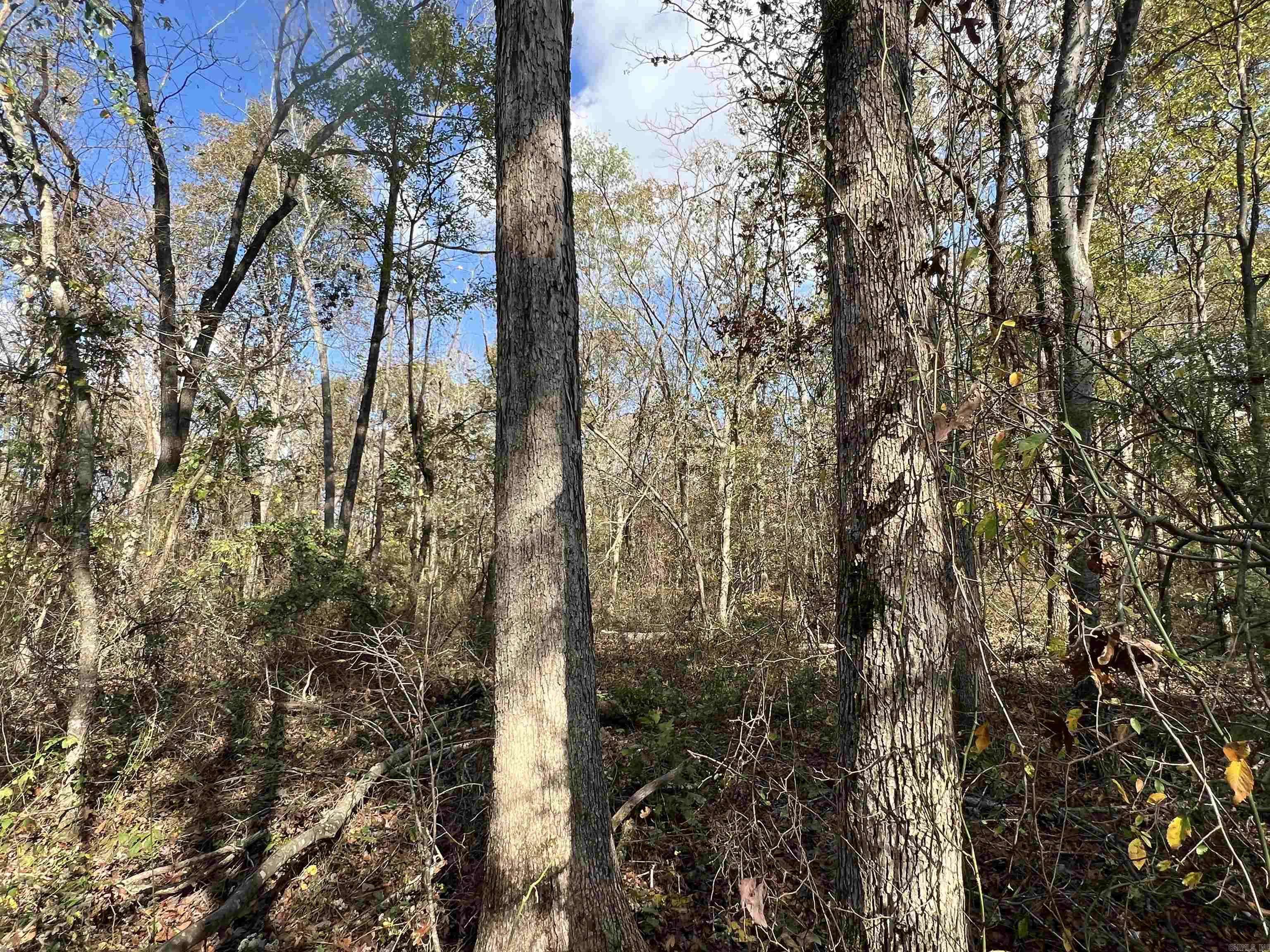 Pocahontas, AR 72455,000 Palestine Road