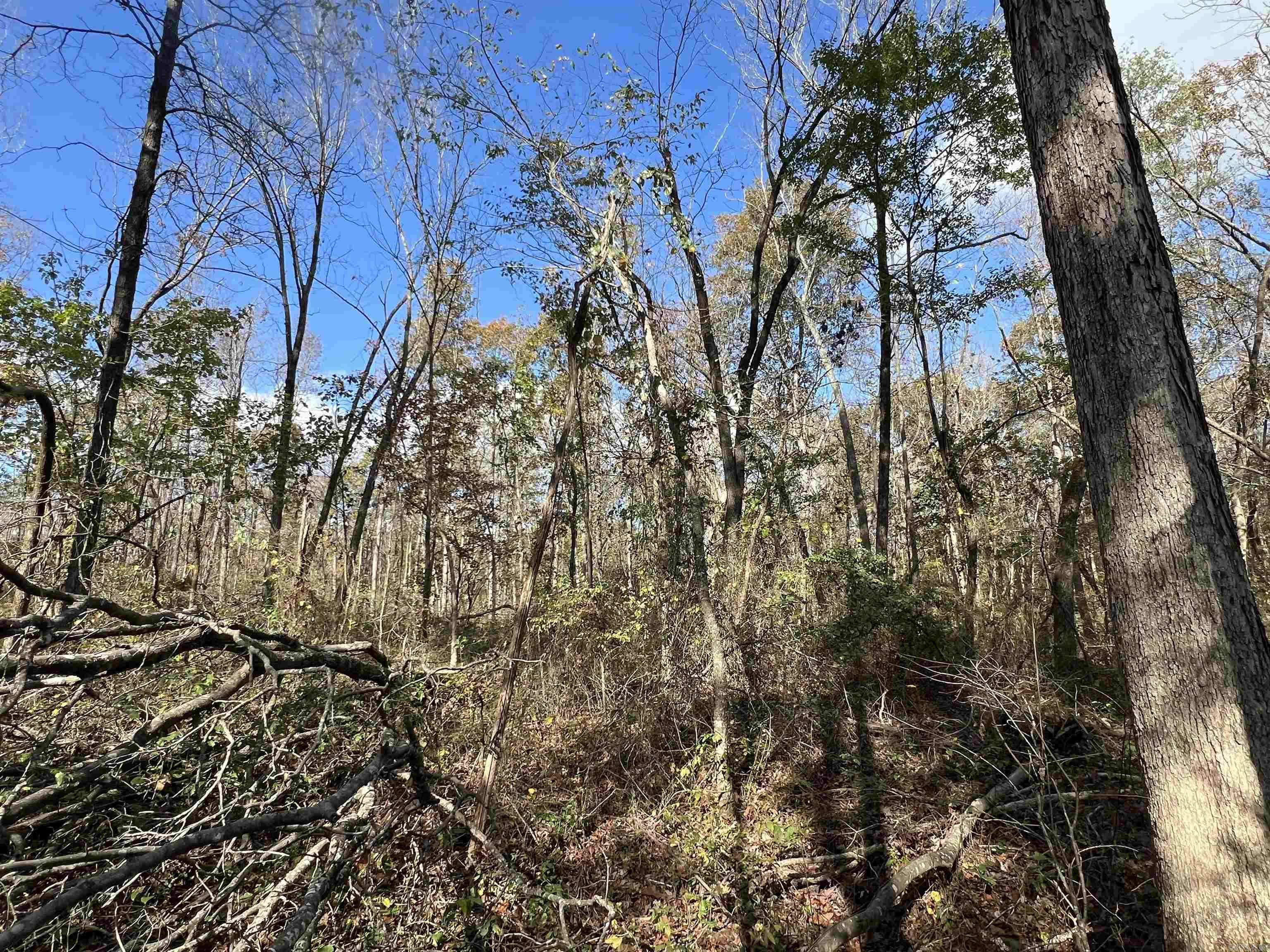 Pocahontas, AR 72455,000 Palestine Road