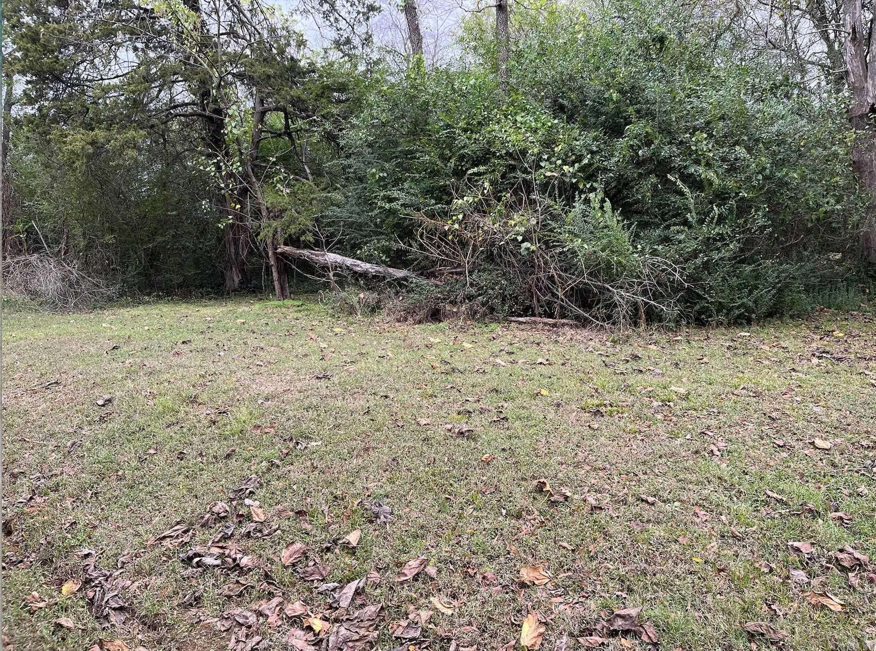 Morrilton, AR 72110,TBD Burrow