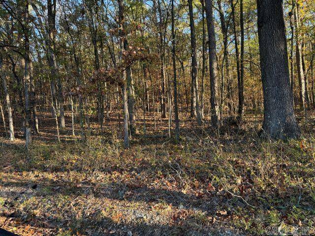 Hot Springs, AR 71901,Address not disclosed