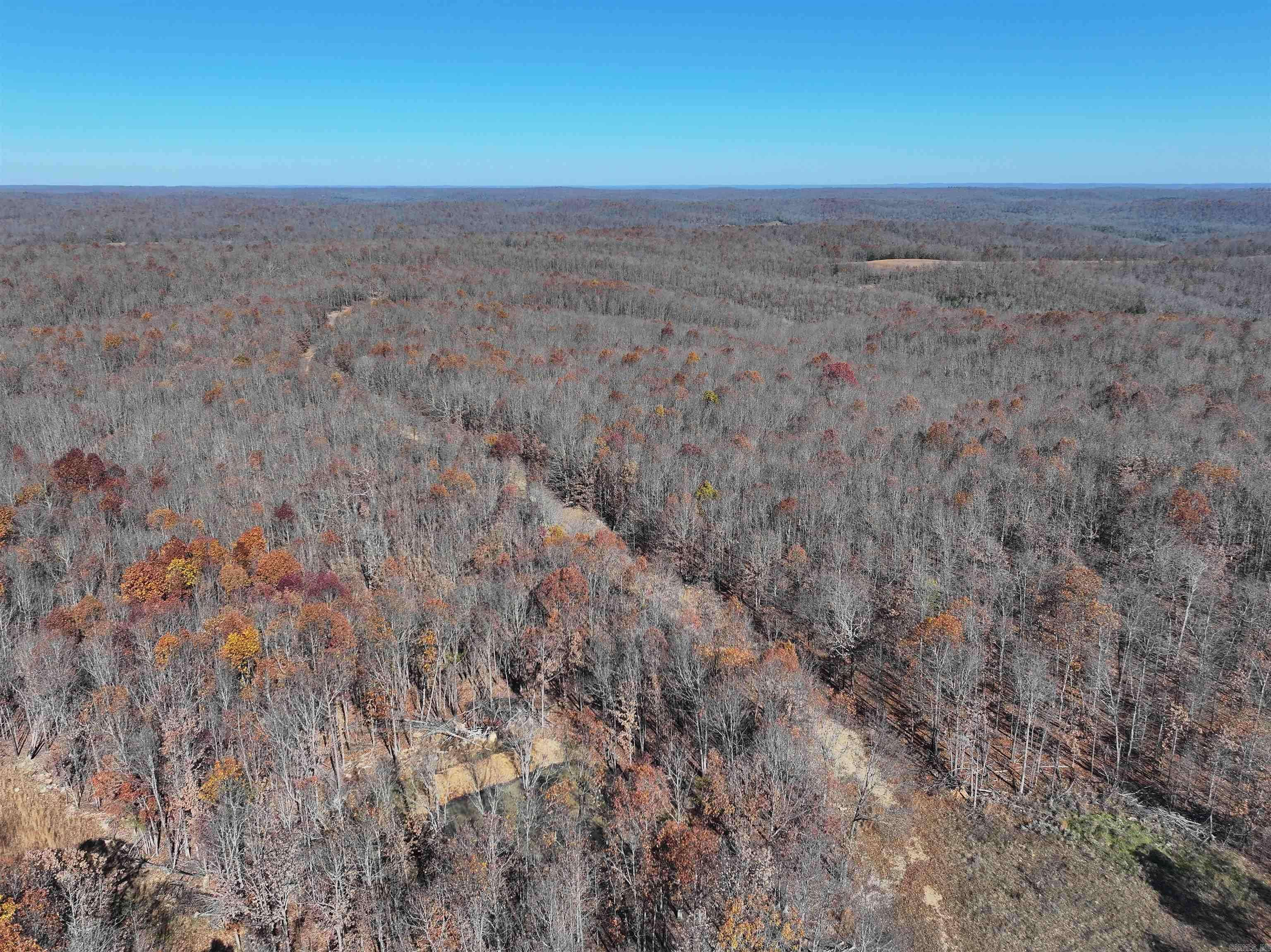 Ravenden Springs, AR 72460,566 Bethany Road