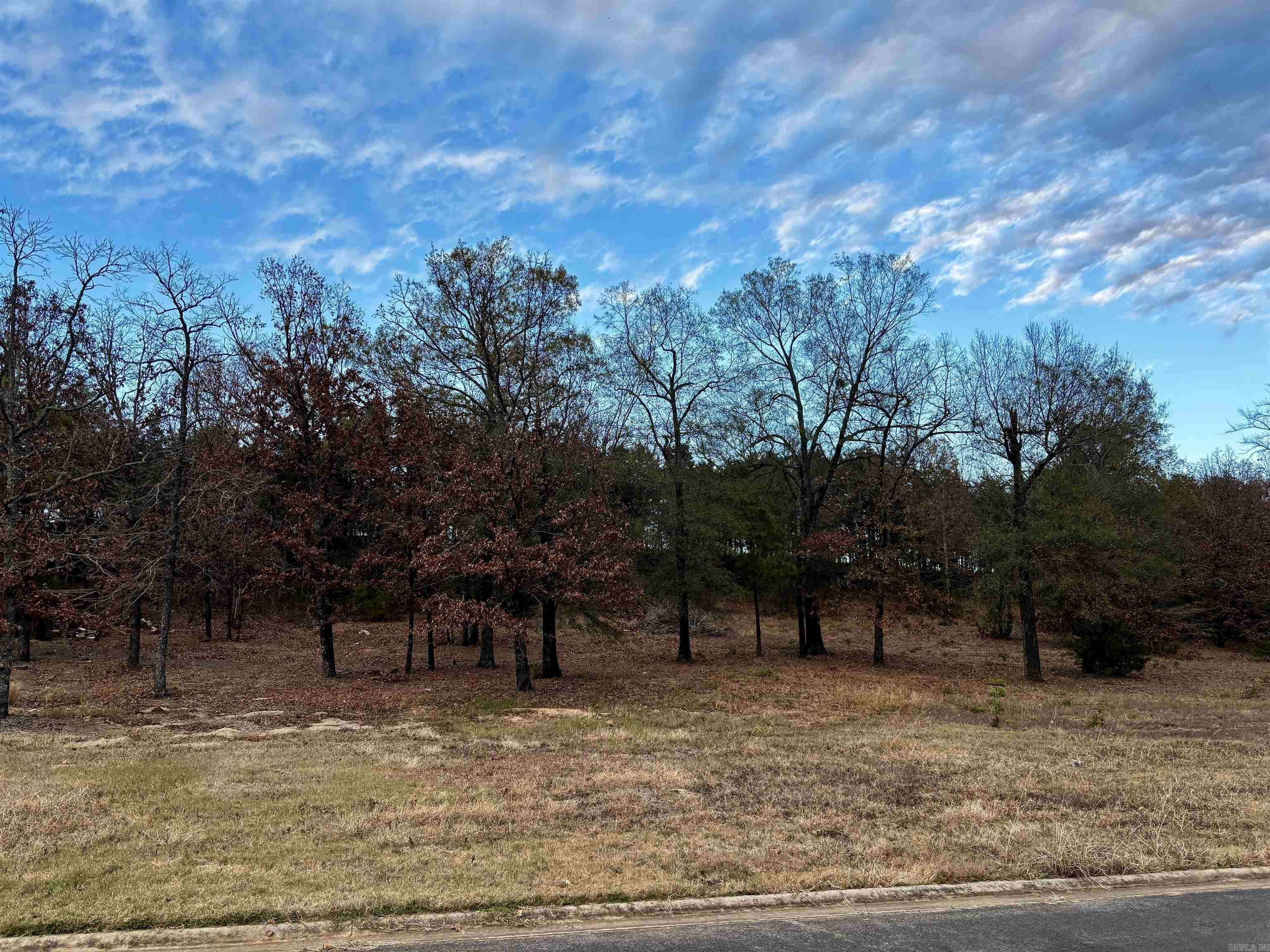 Morrilton, AR 72110,00 E Holloway Street