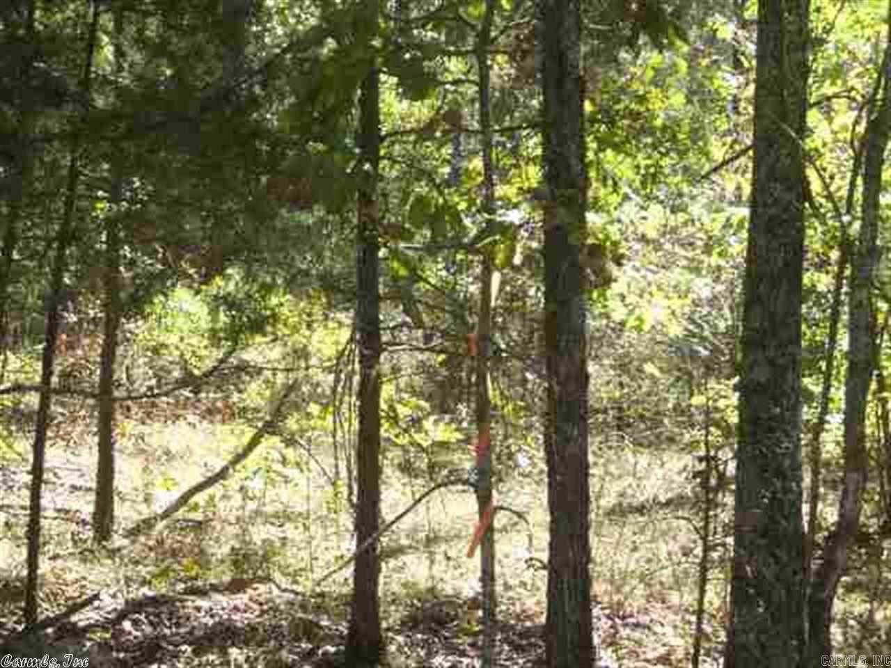 Drasco, AR 72530,00 Easy Street