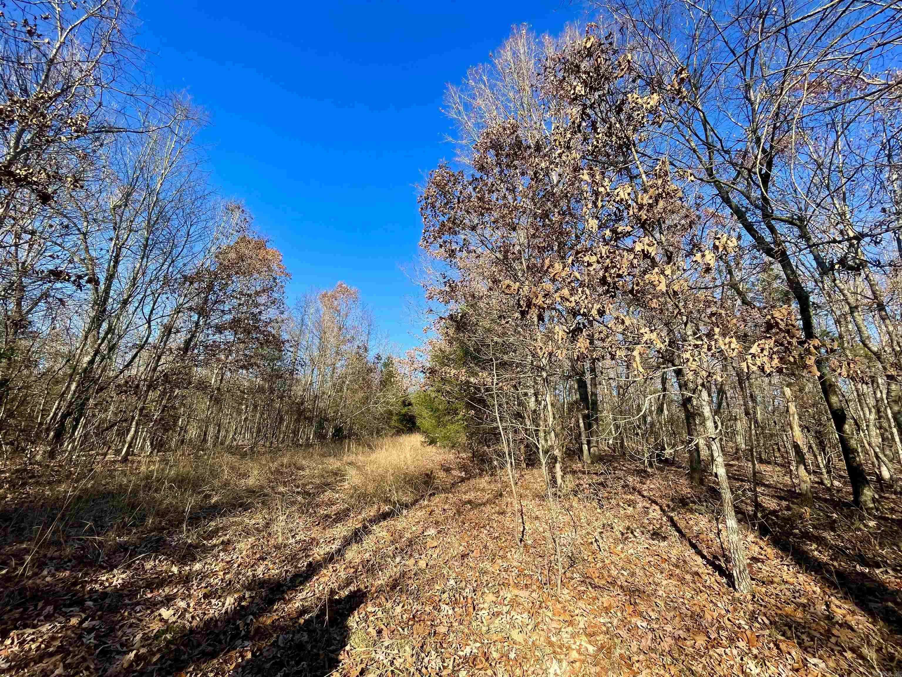 Black Rock, AR 72415,Lawrence Road 131