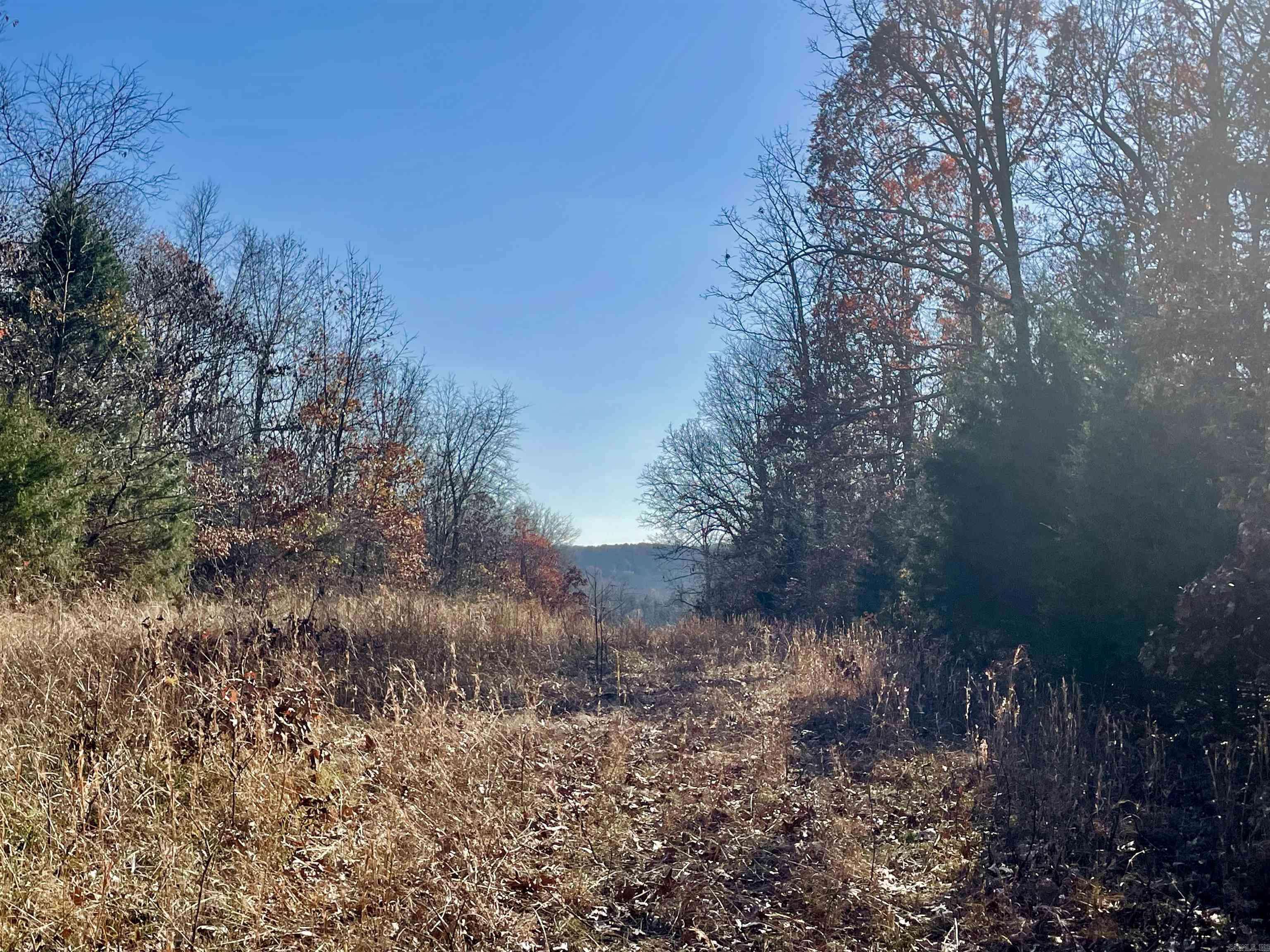 Black Rock, AR 72415,Lawrence Road 131