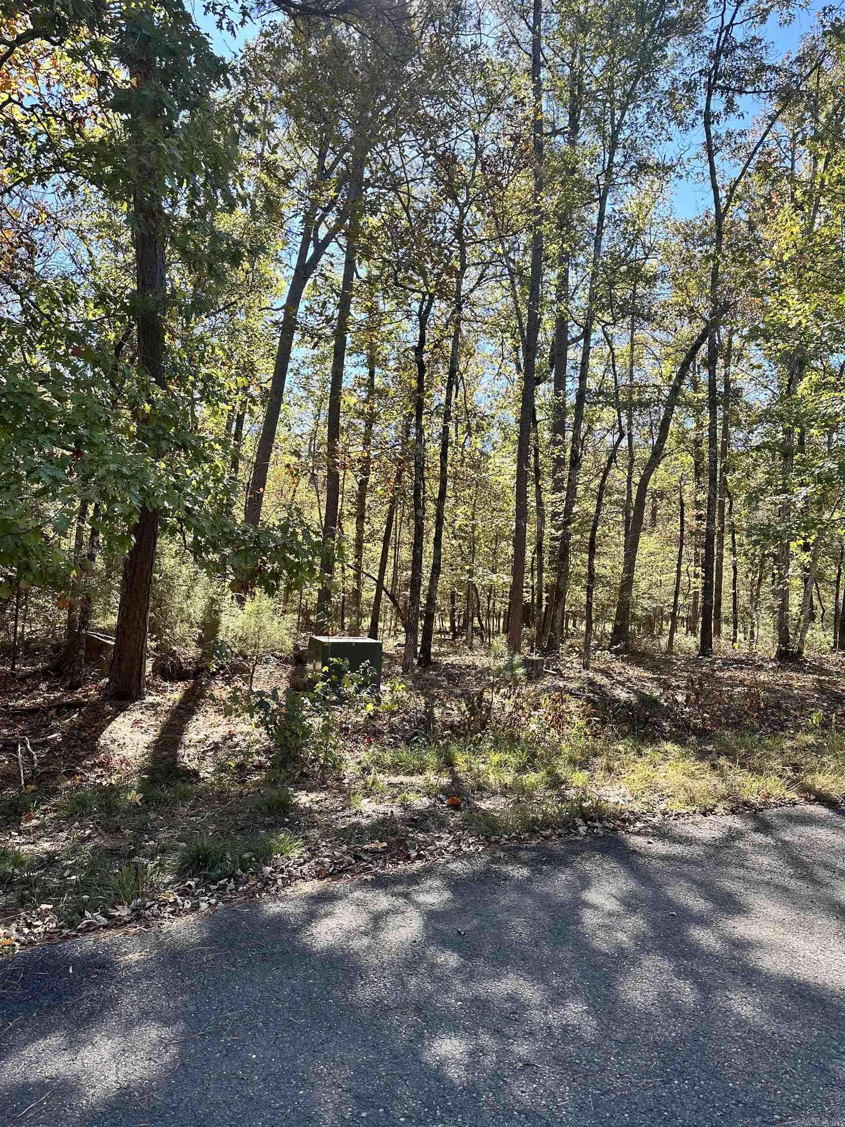 Hot Springs Village, AR 71909-0000,6 Golfista Trace