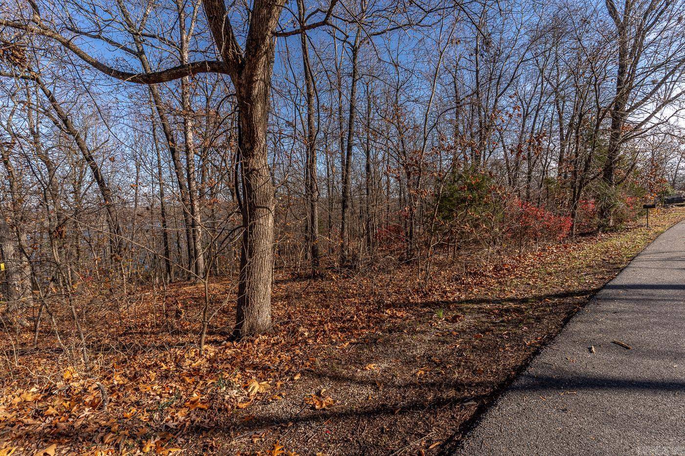 Horseshoe Bend, AR 72512,206 Victoria Dr