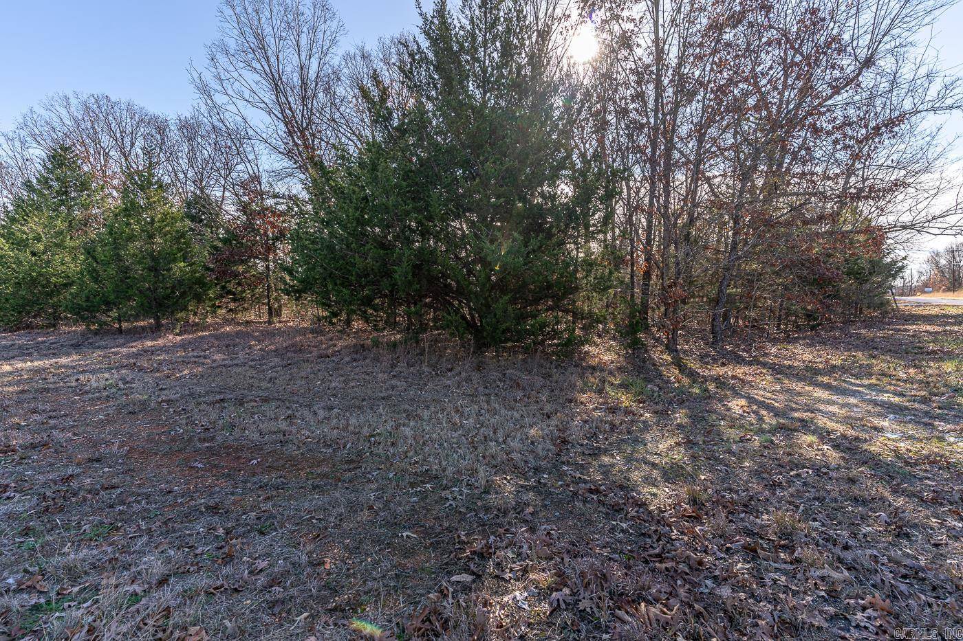 Horseshoe Bend, AR 72512,101 Alexander Ave