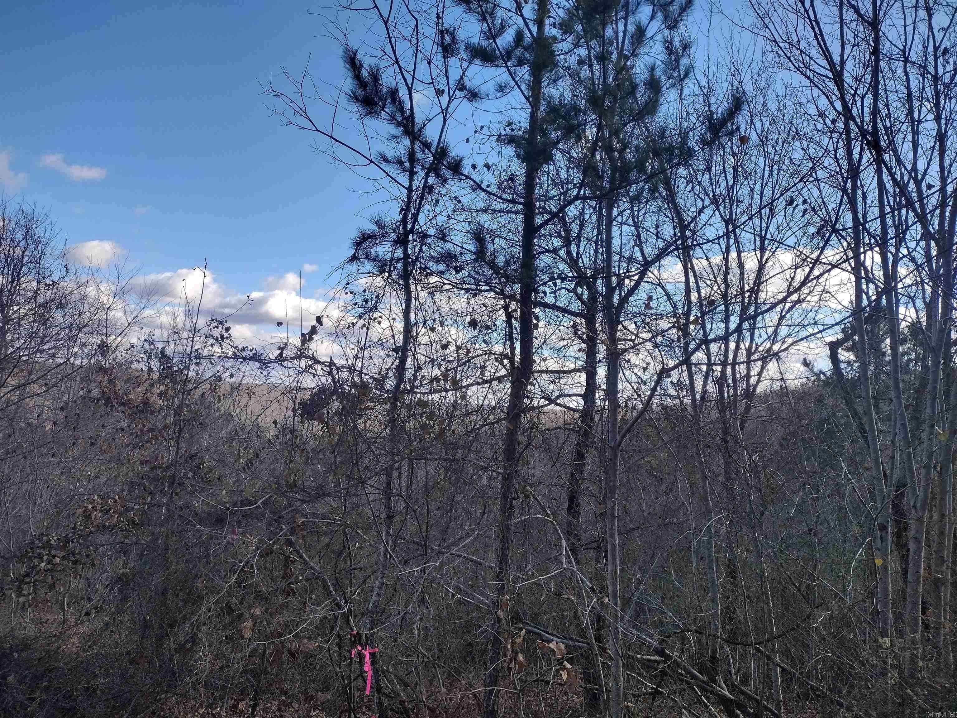 Mountain View, AR 72560,0000 Sunnyland Road
