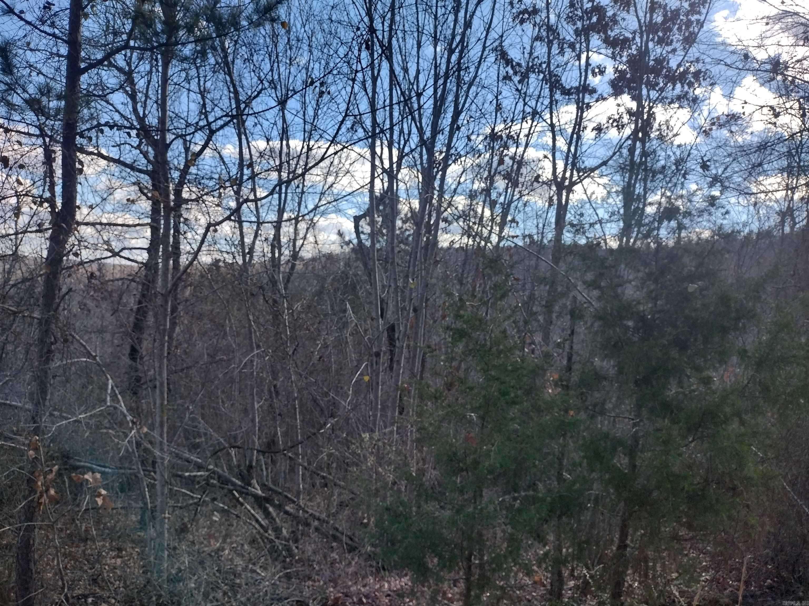 Mountain View, AR 72560,0000 Sunnyland Road