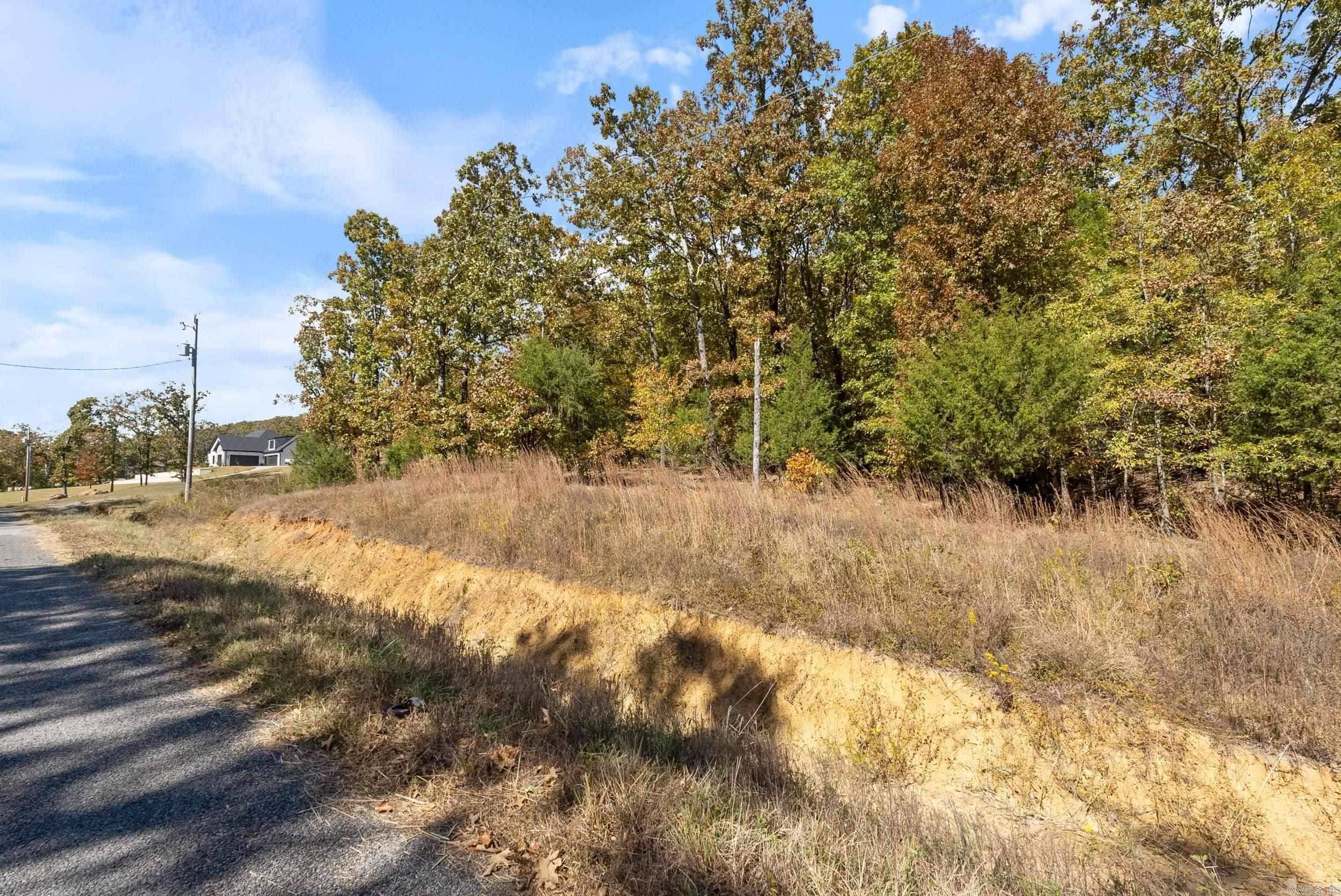 Conway, AR 72032,Lot 36 Mystic Lane