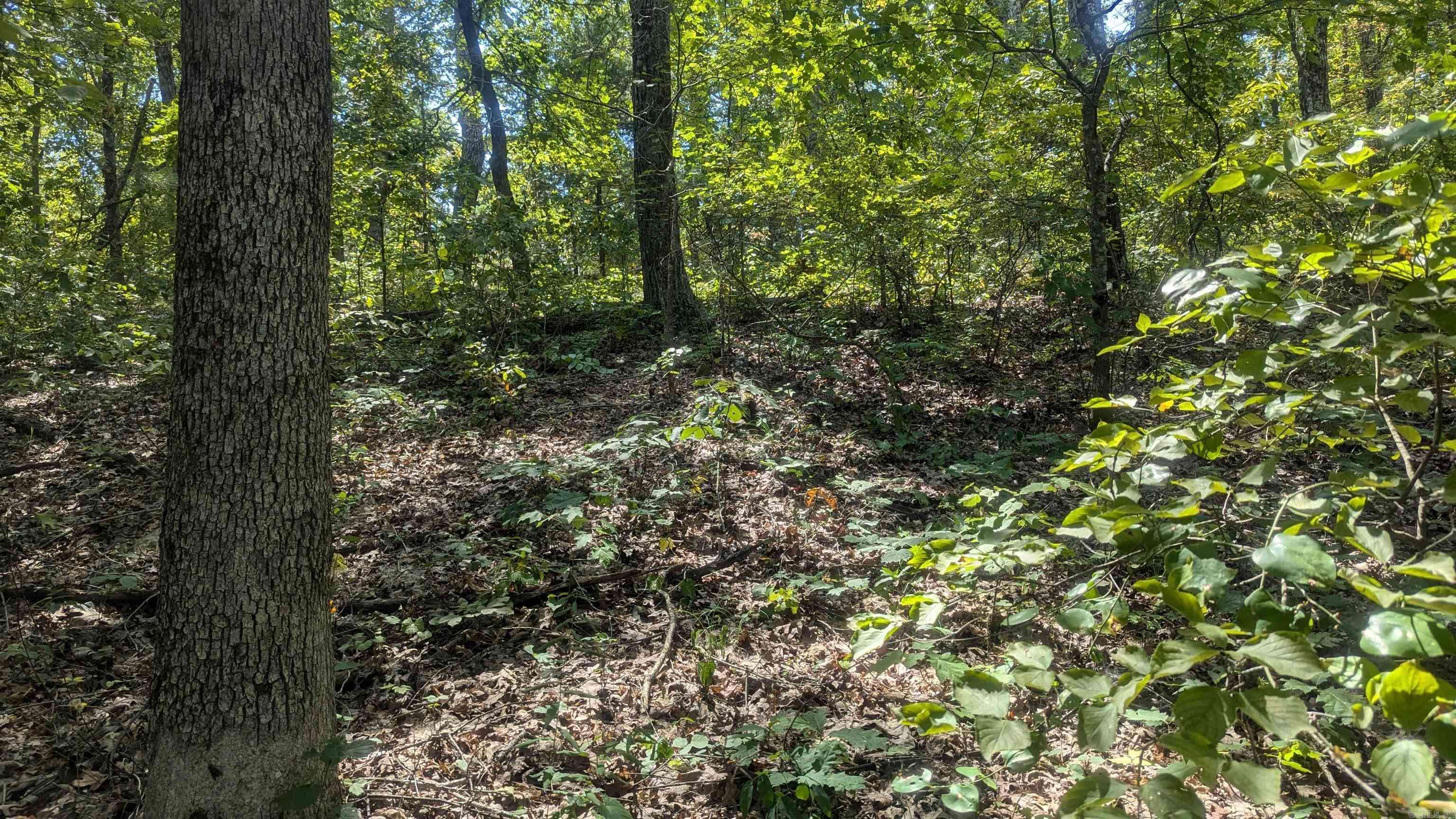 Drasco, AR 72530-000,000 Hickory Hill