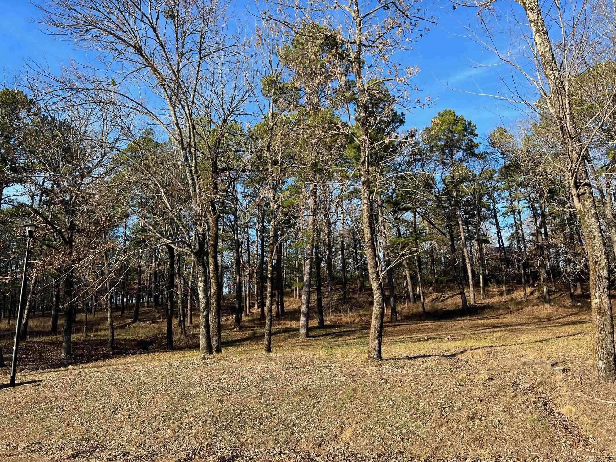 Heber Springs, AR 72543,Address not disclosed