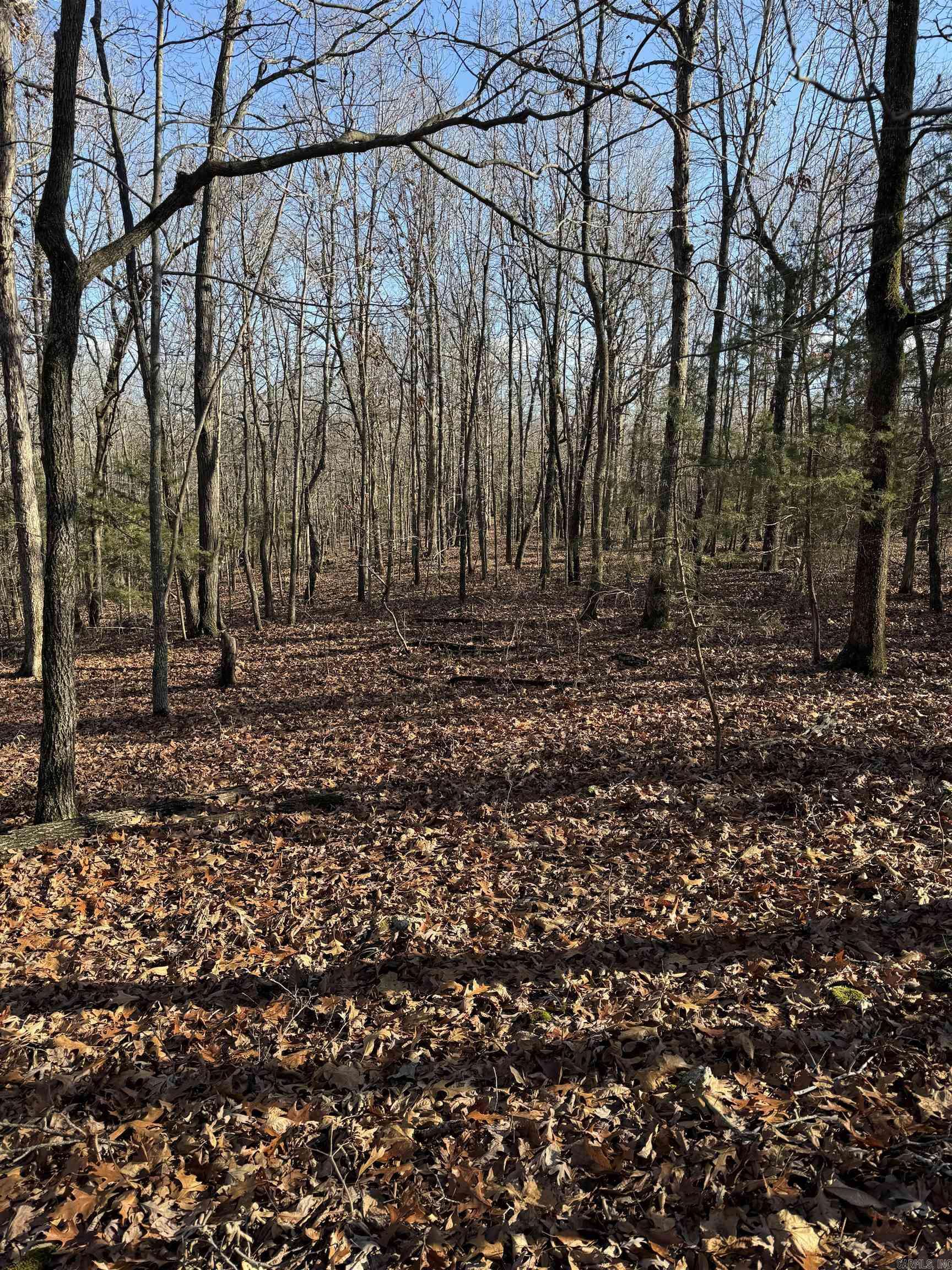 Ravenden Springs, AR 72460,Morrison Road