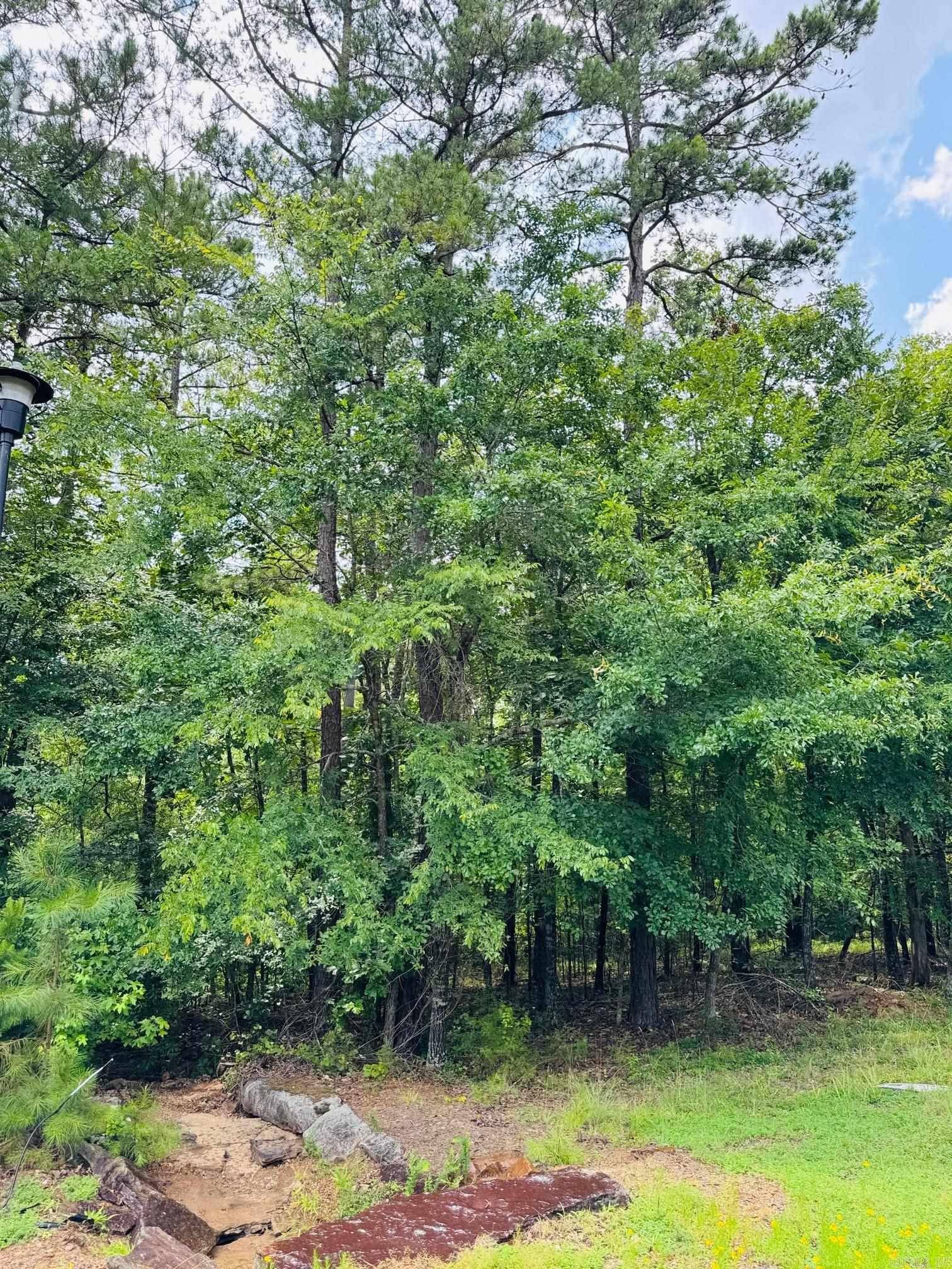 Heber Springs, AR 72543,Address not disclosed
